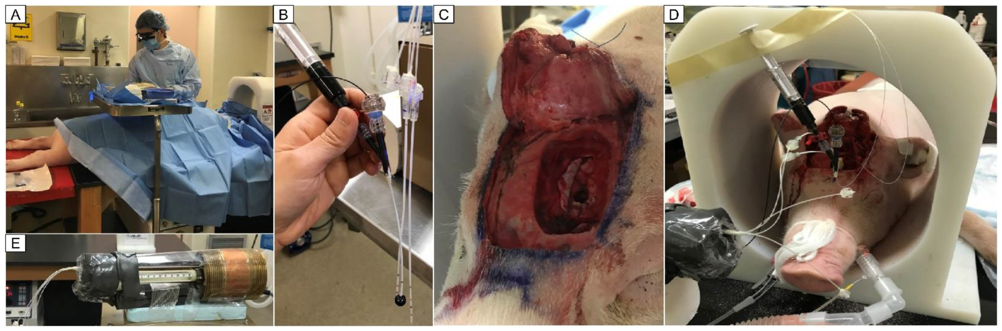 Cancers 15 05683 g005