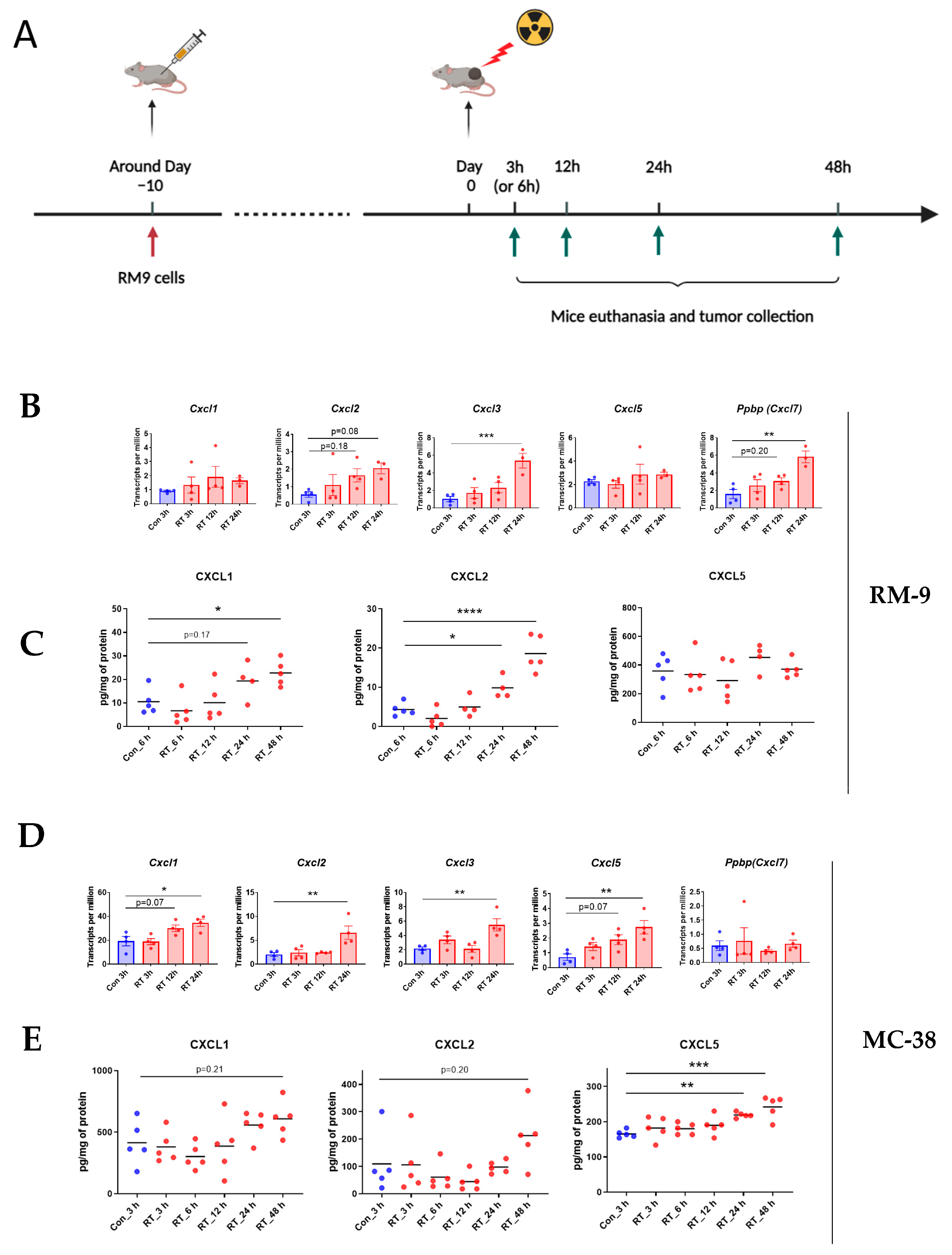 Cancers 15 05686 g004