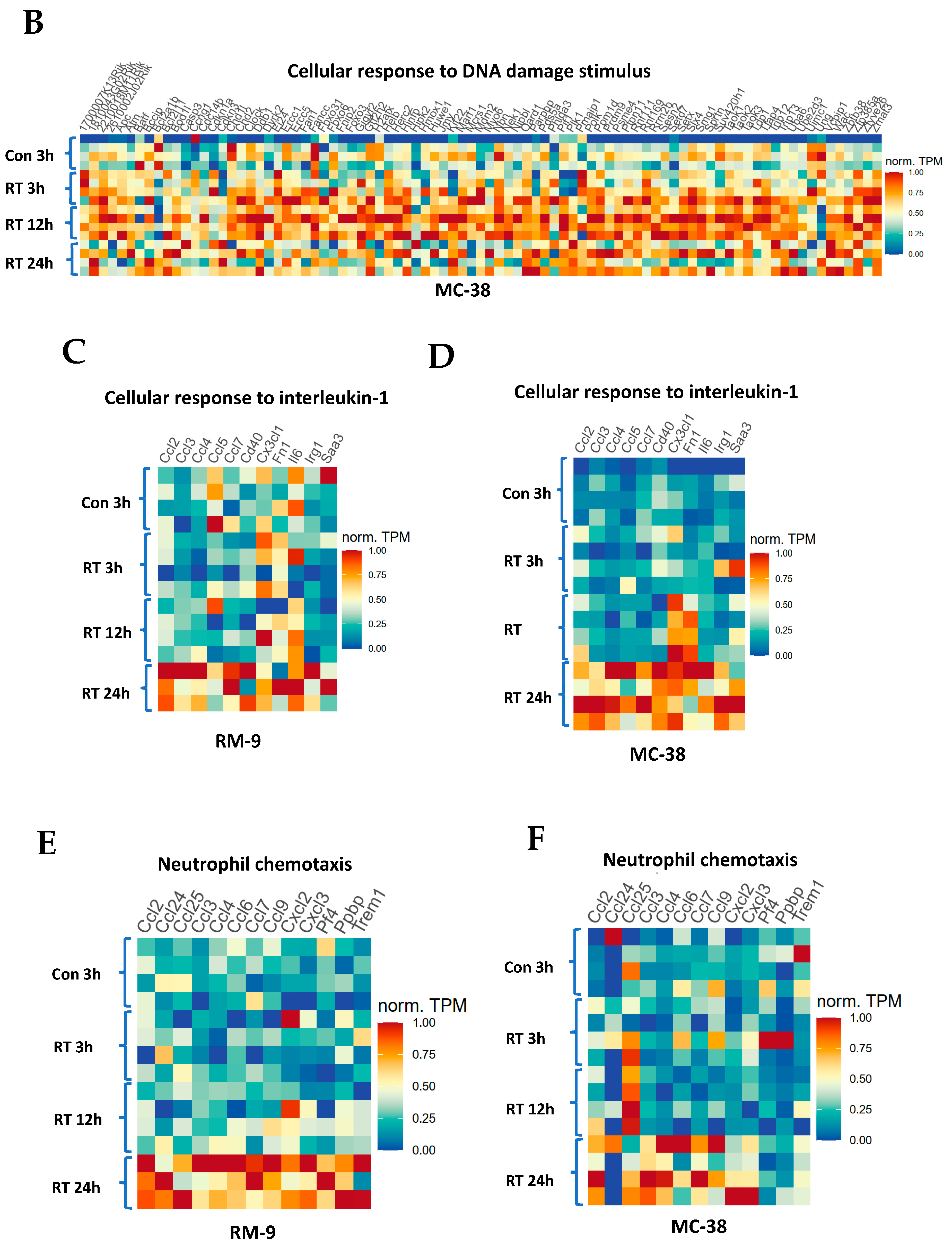 Cancers 15 05686 g006b