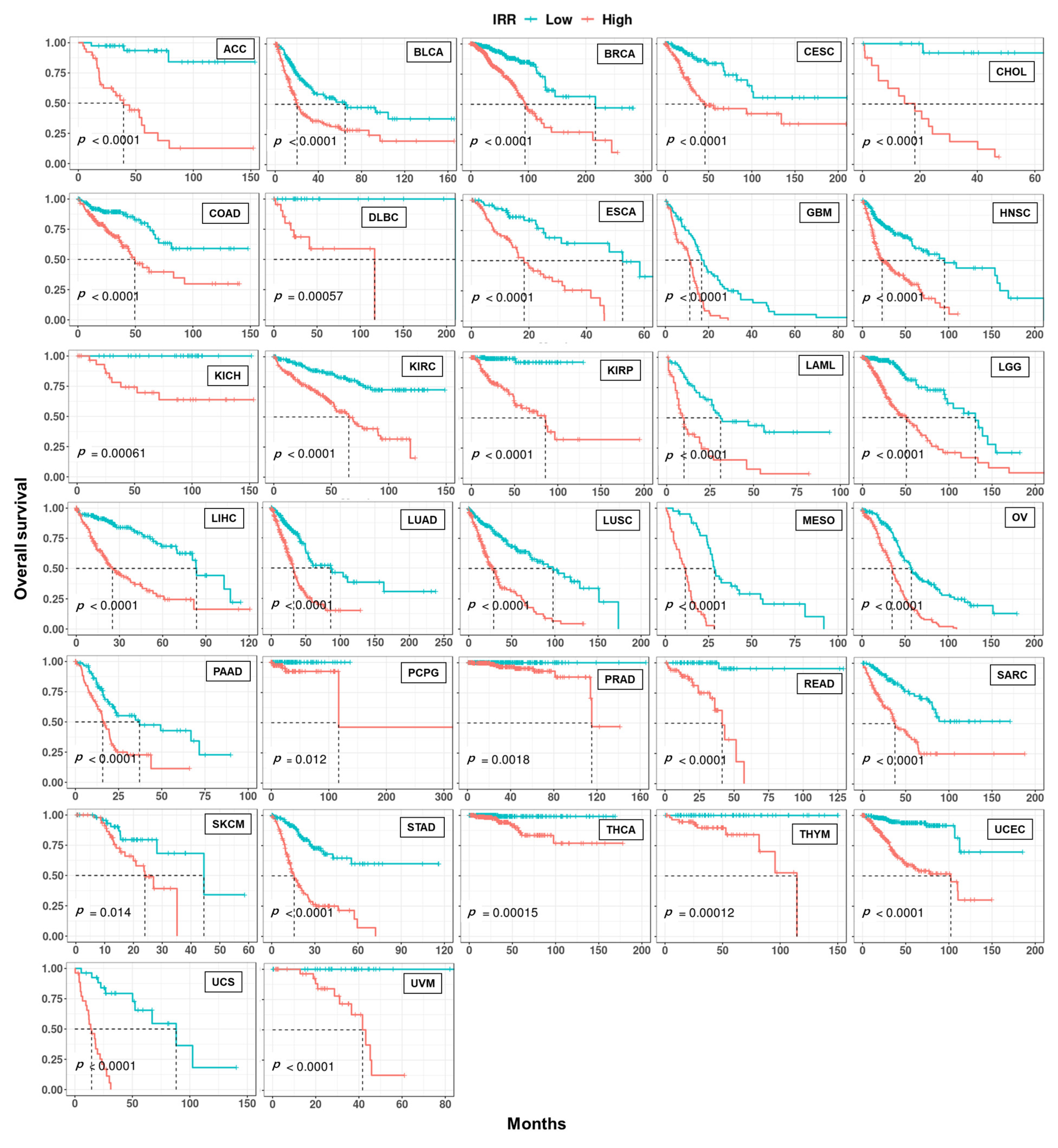 Cancers 15 05689 g008