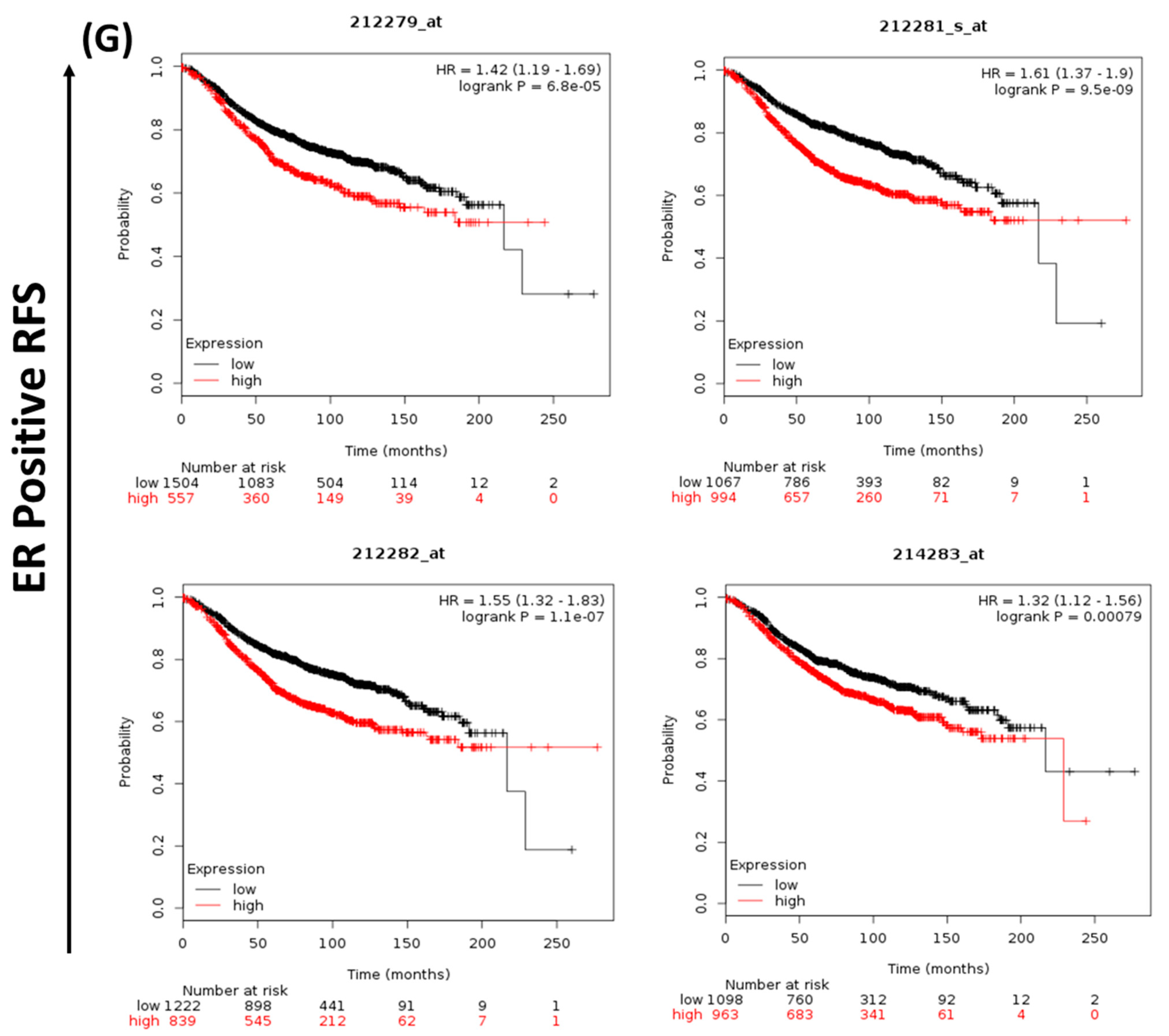 Cancers 15 05691 g001c Cancers 15 05691 g001c