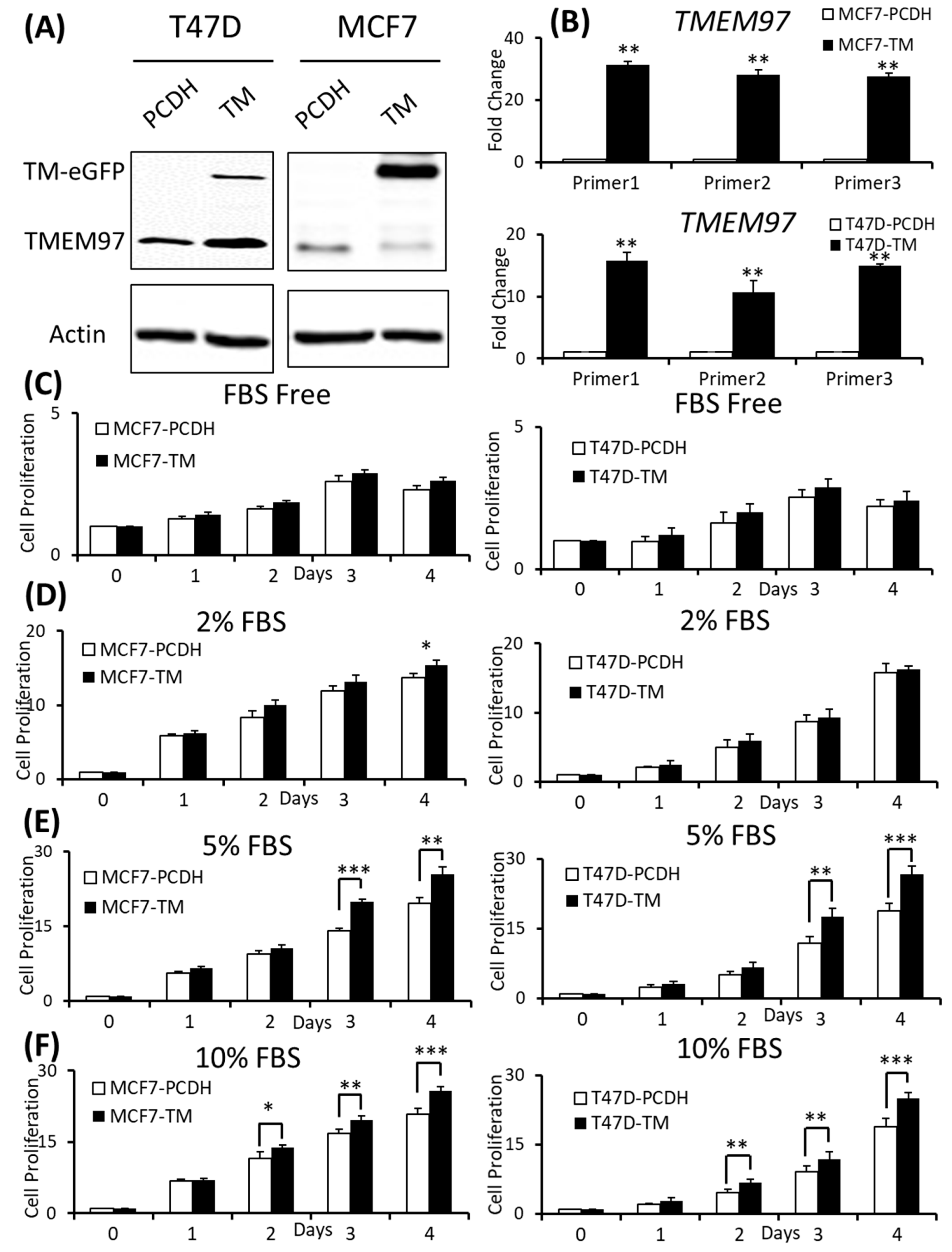 Cancers 15 05691 g002 Cancers 15 05691 g002