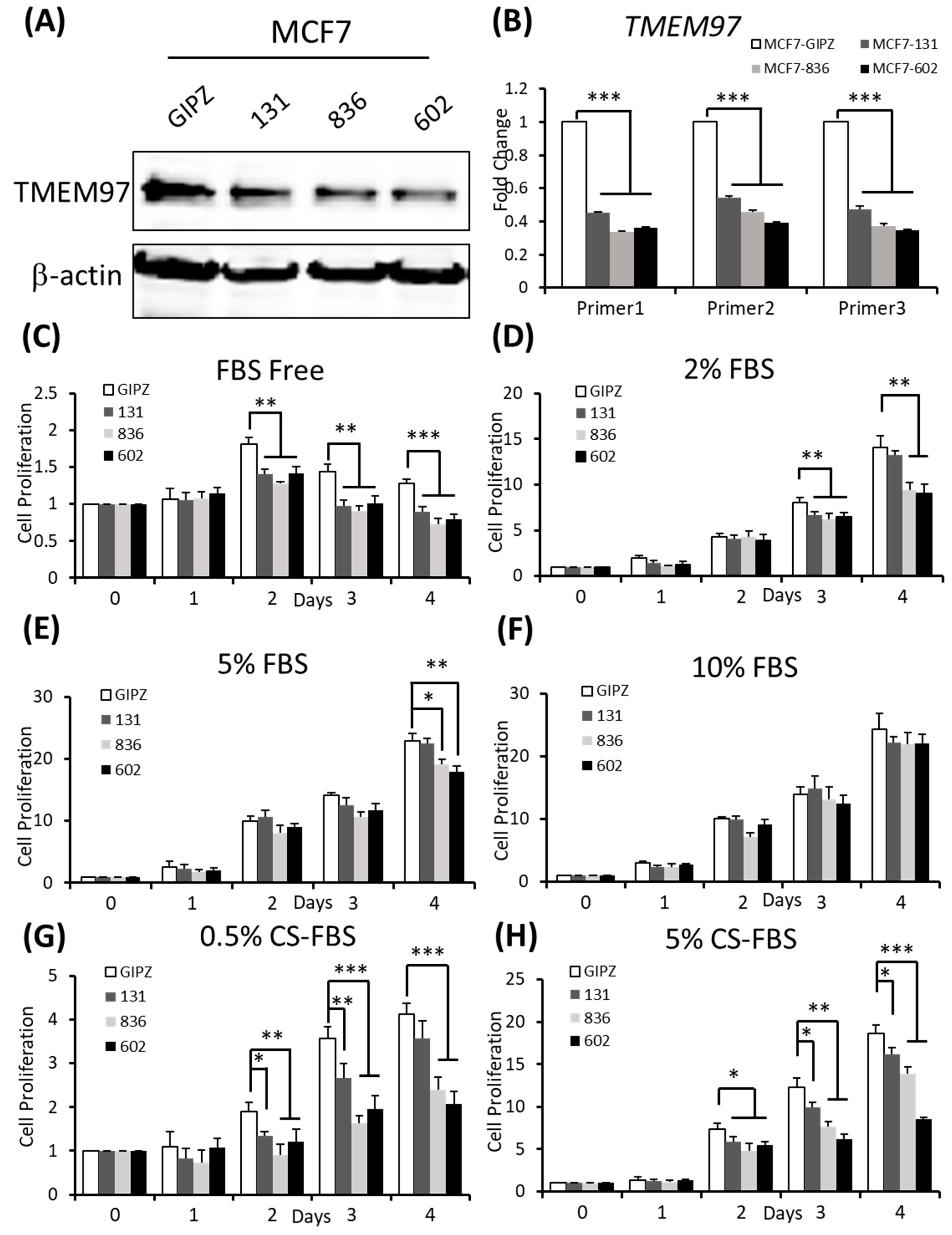 Cancers 15 05691 g004 Cancers 15 05691 g004
