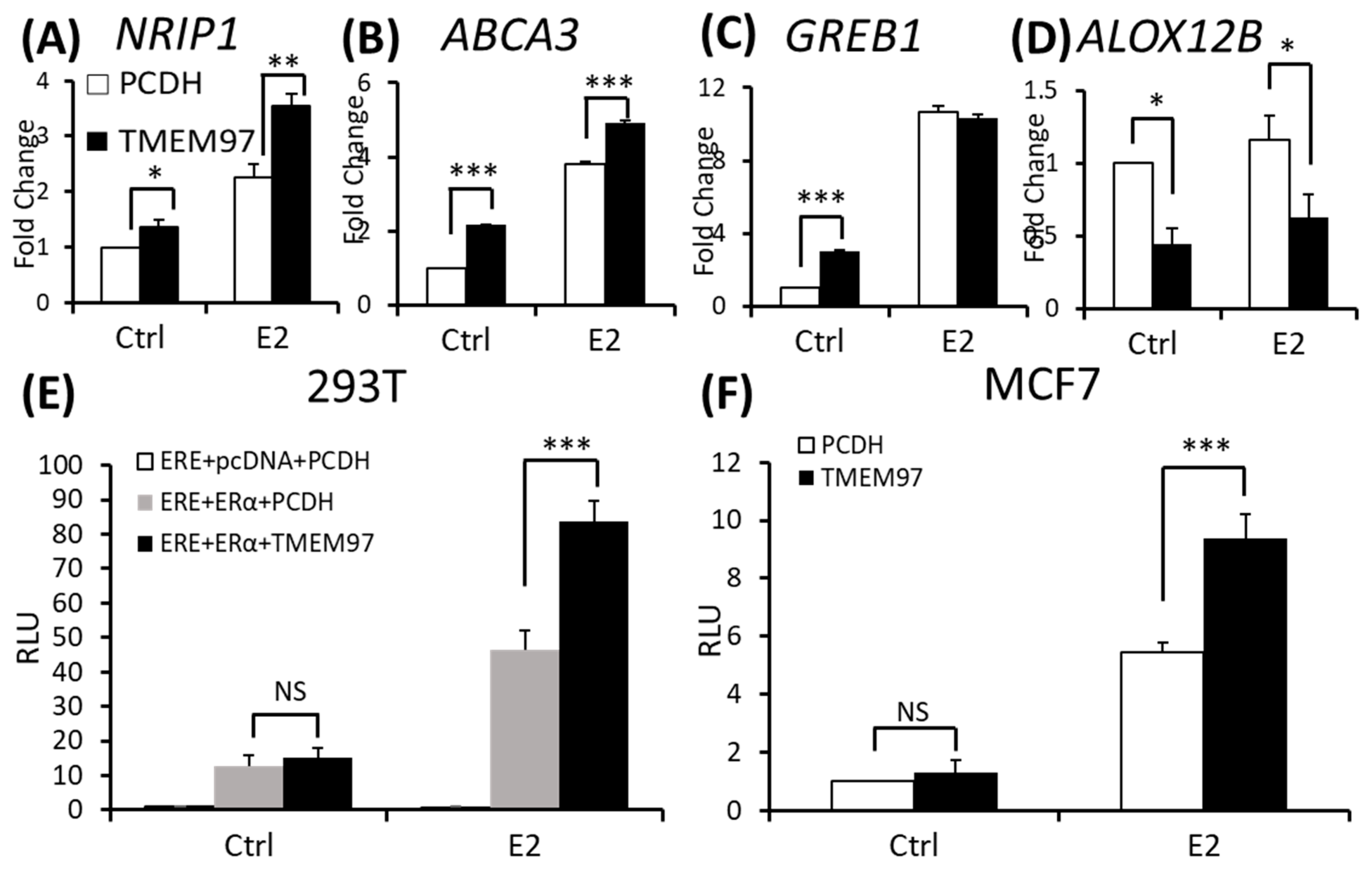 Cancers 15 05691 g005 Cancers 15 05691 g005