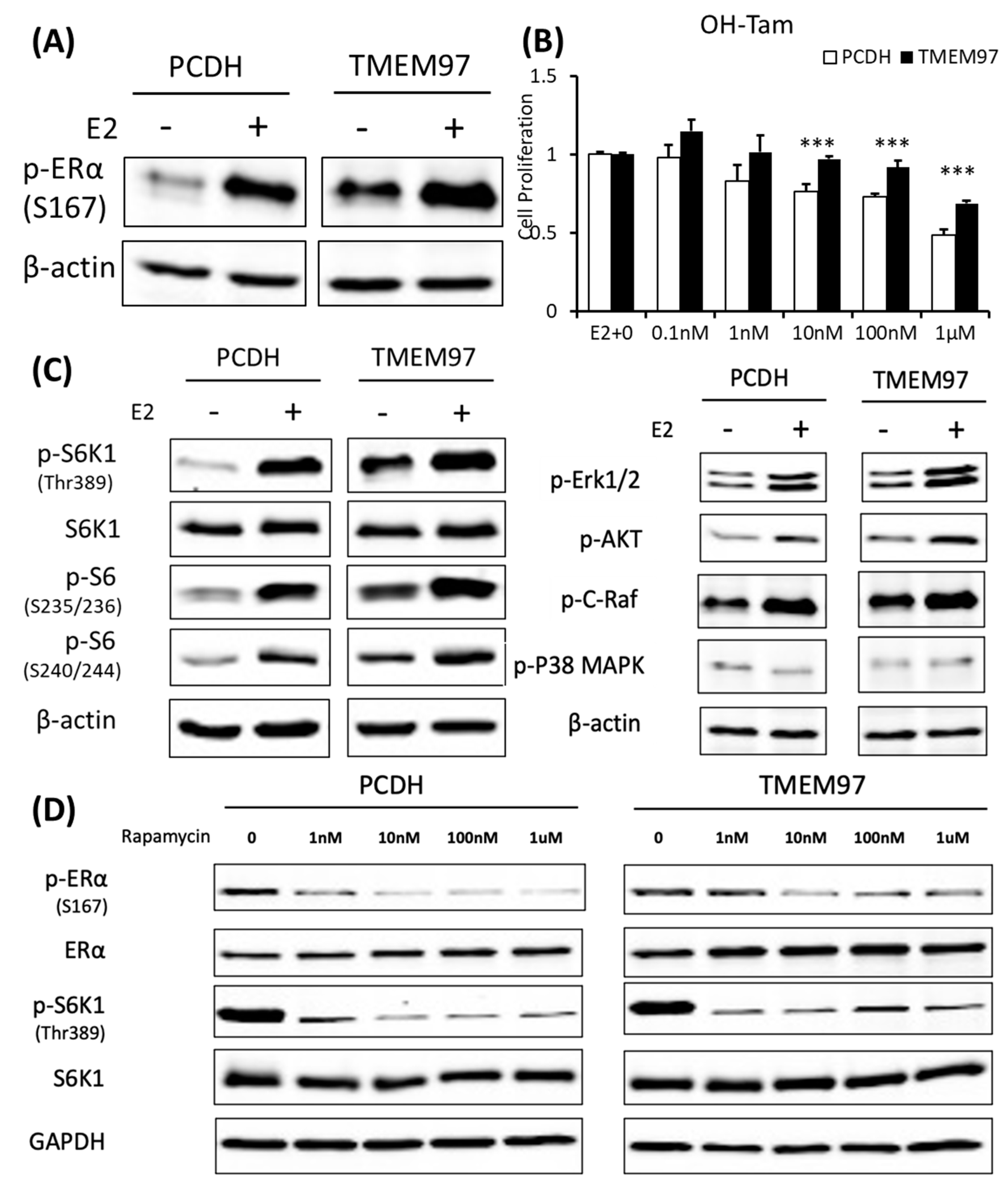 Cancers 15 05691 g006 Cancers 15 05691 g006