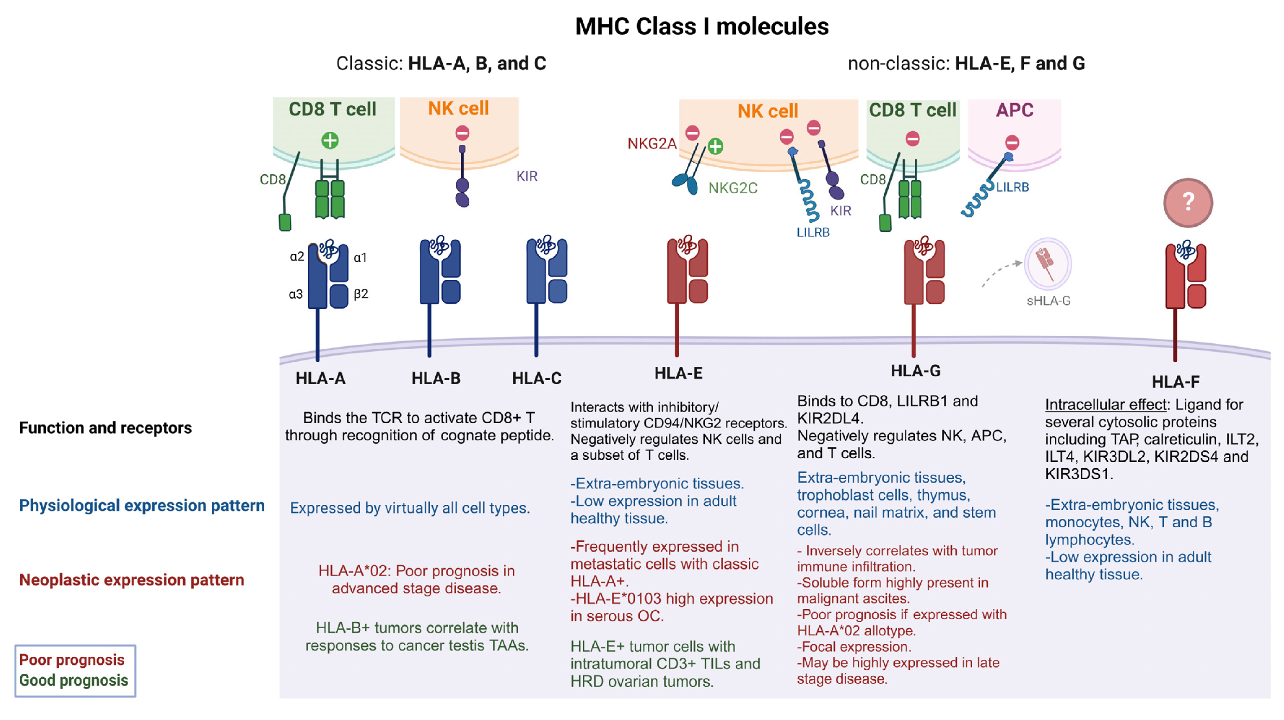Cancers 15 05694 g001 Cancers 15 05694 g001