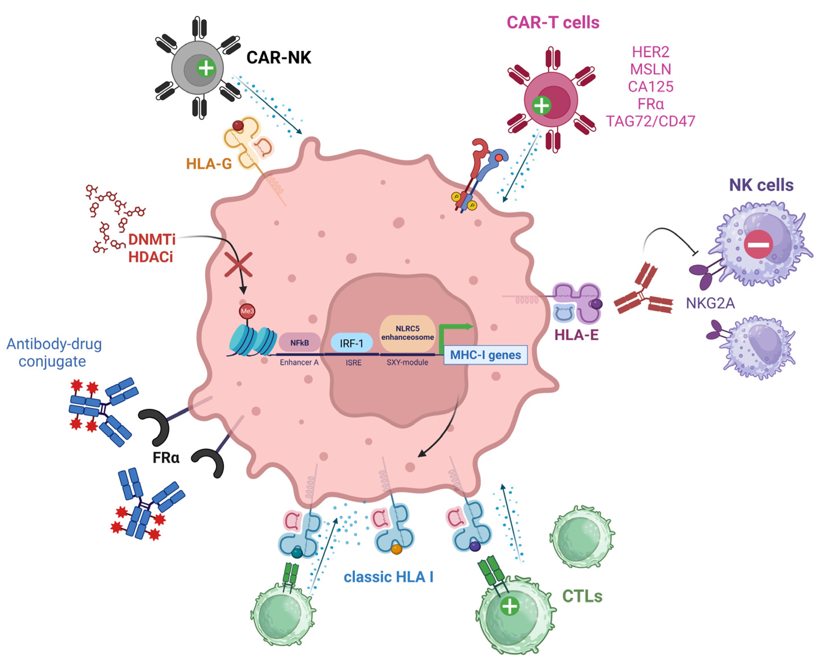 Cancers 15 05694 g004 Cancers 15 05694 g004