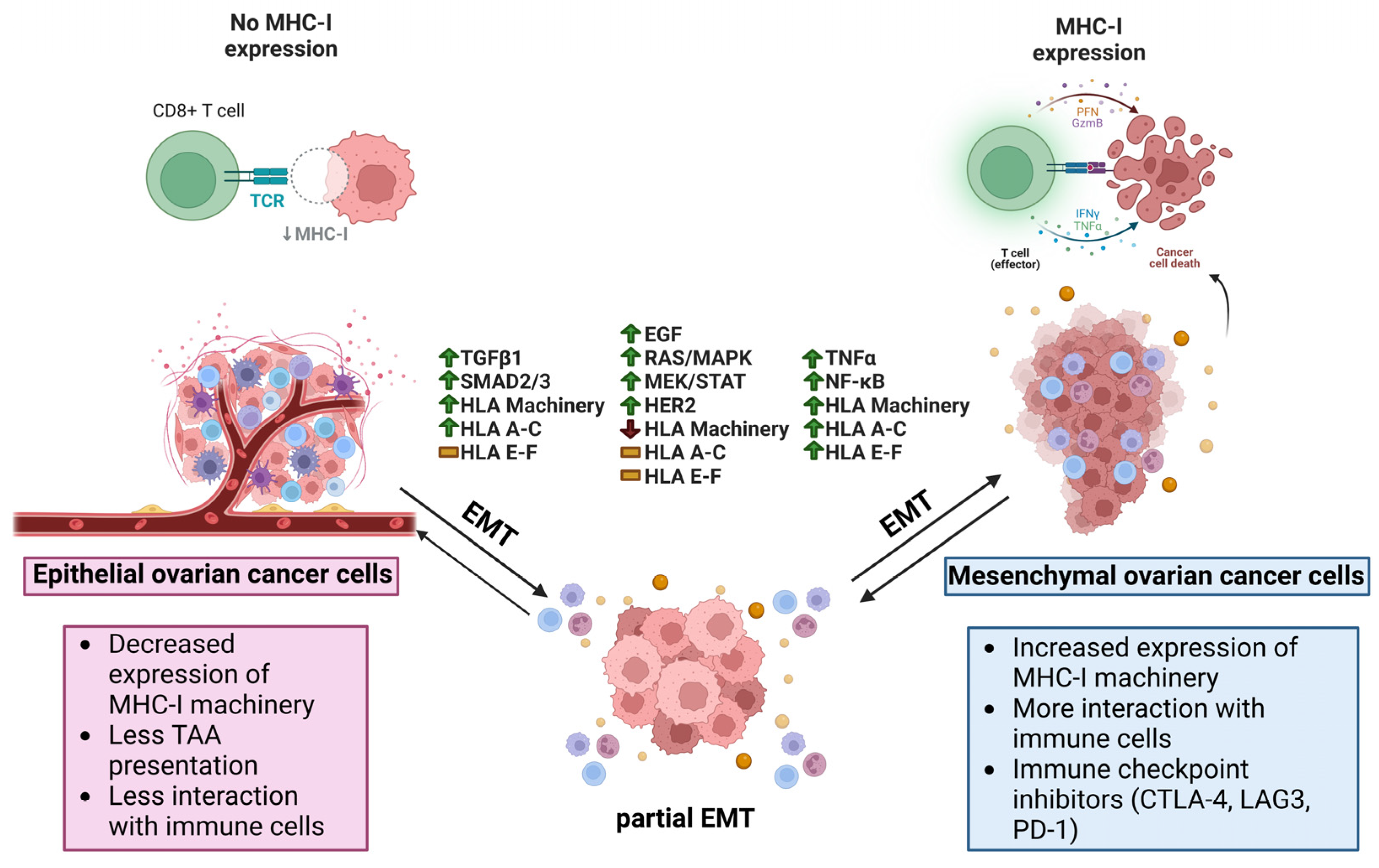 Cancers 15 05694 g005 Cancers 15 05694 g005