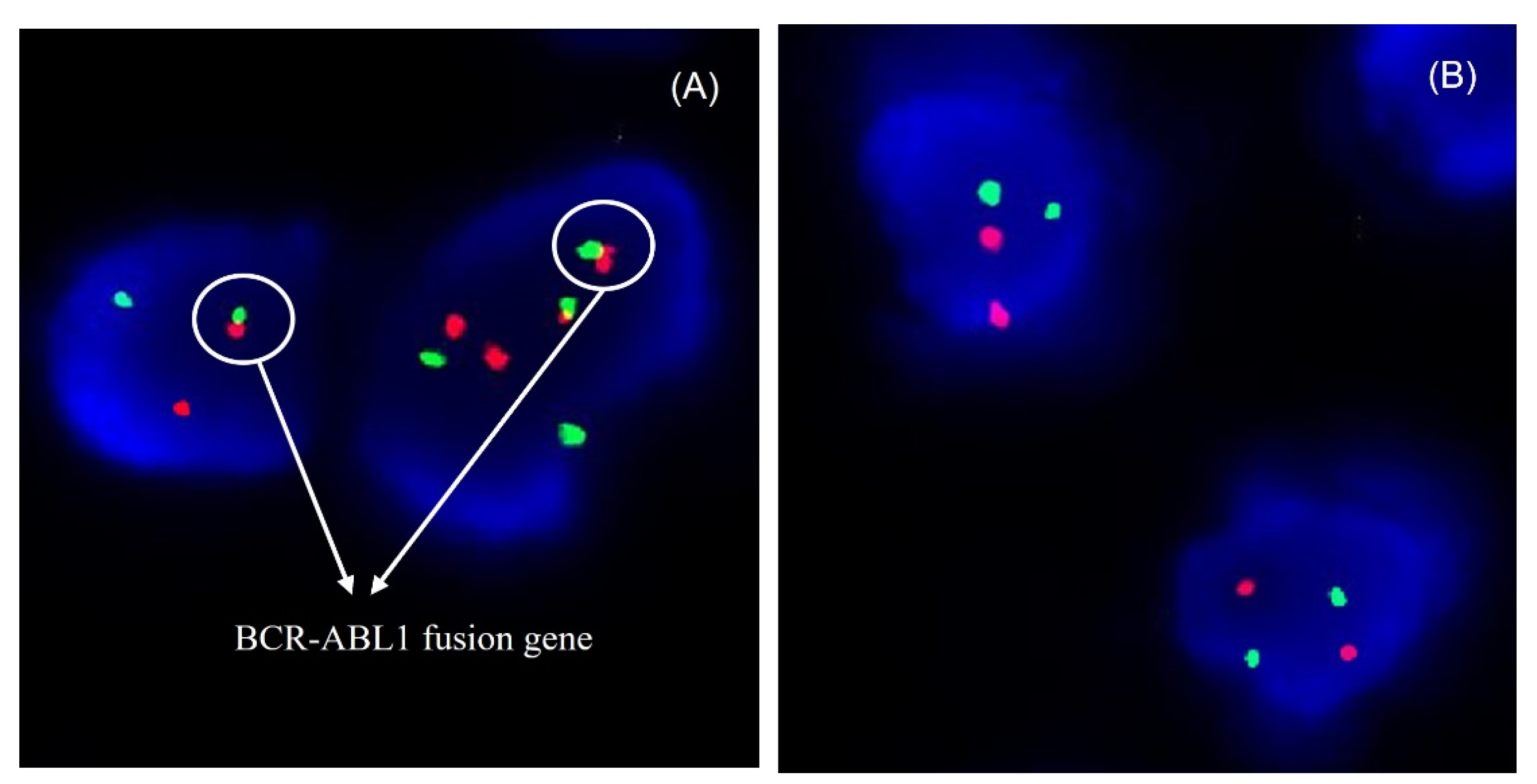 Cancers 15 05696 g005