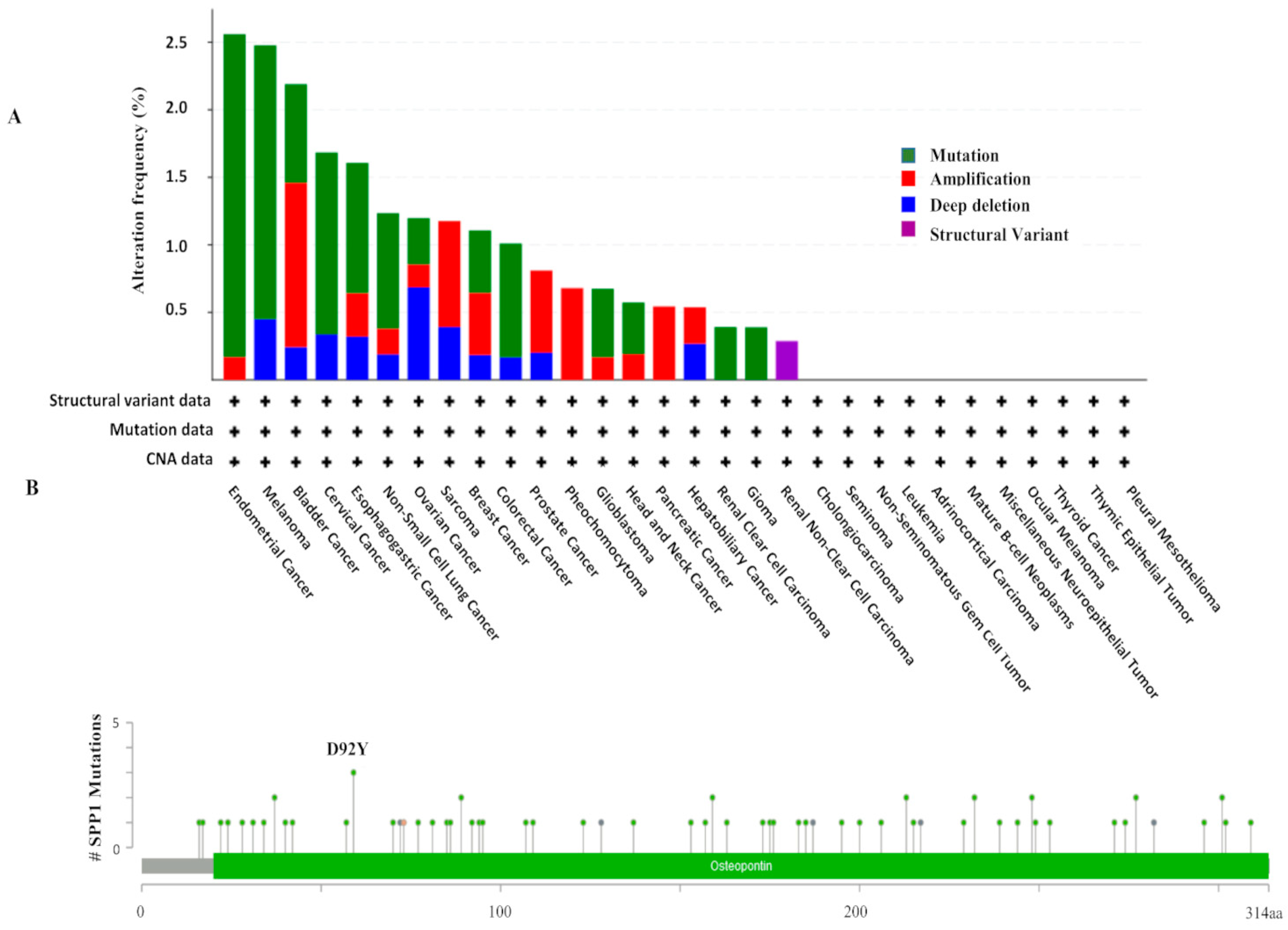 Cancers 15 05704 g002