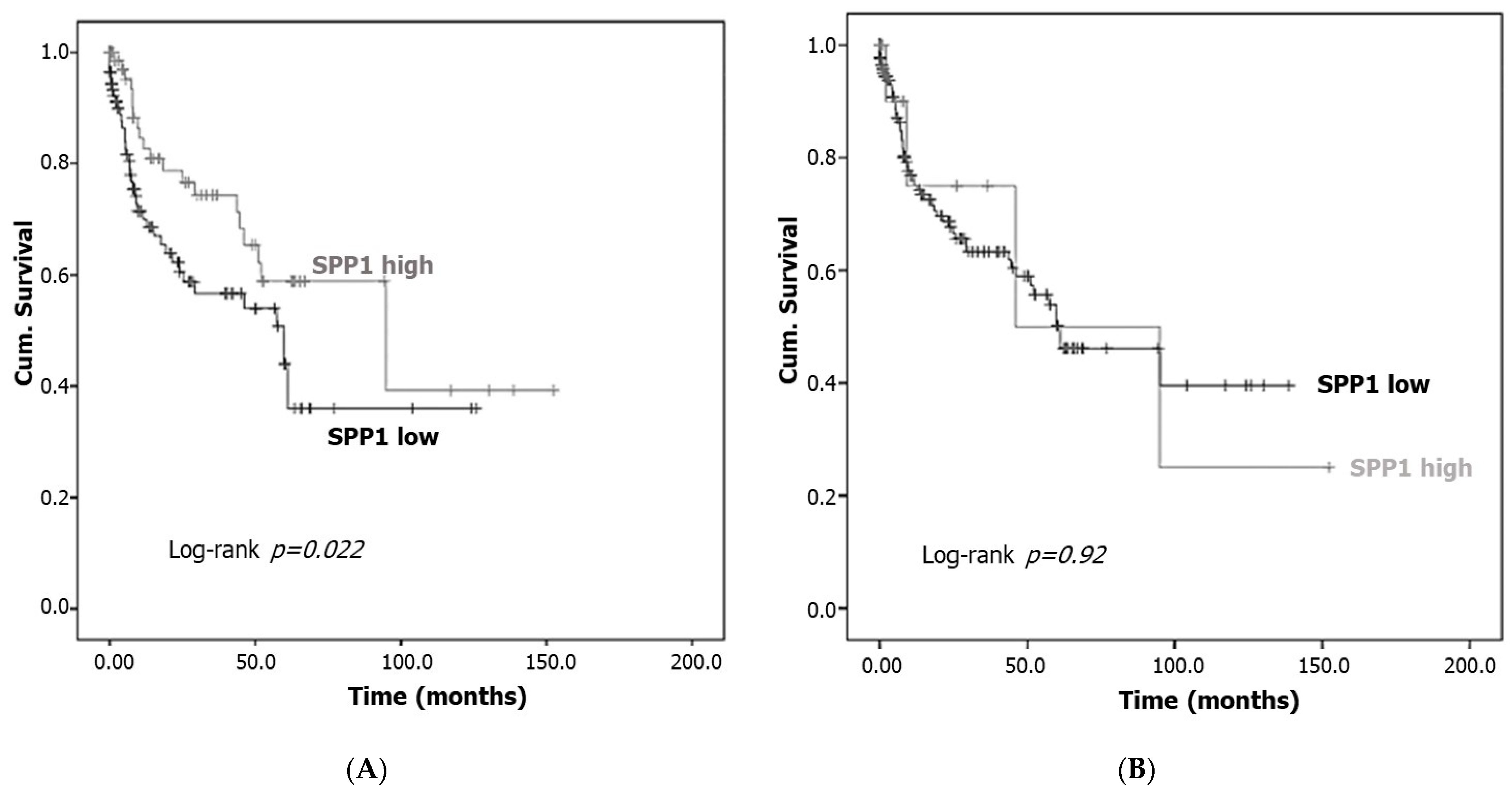 Cancers 15 05704 g005