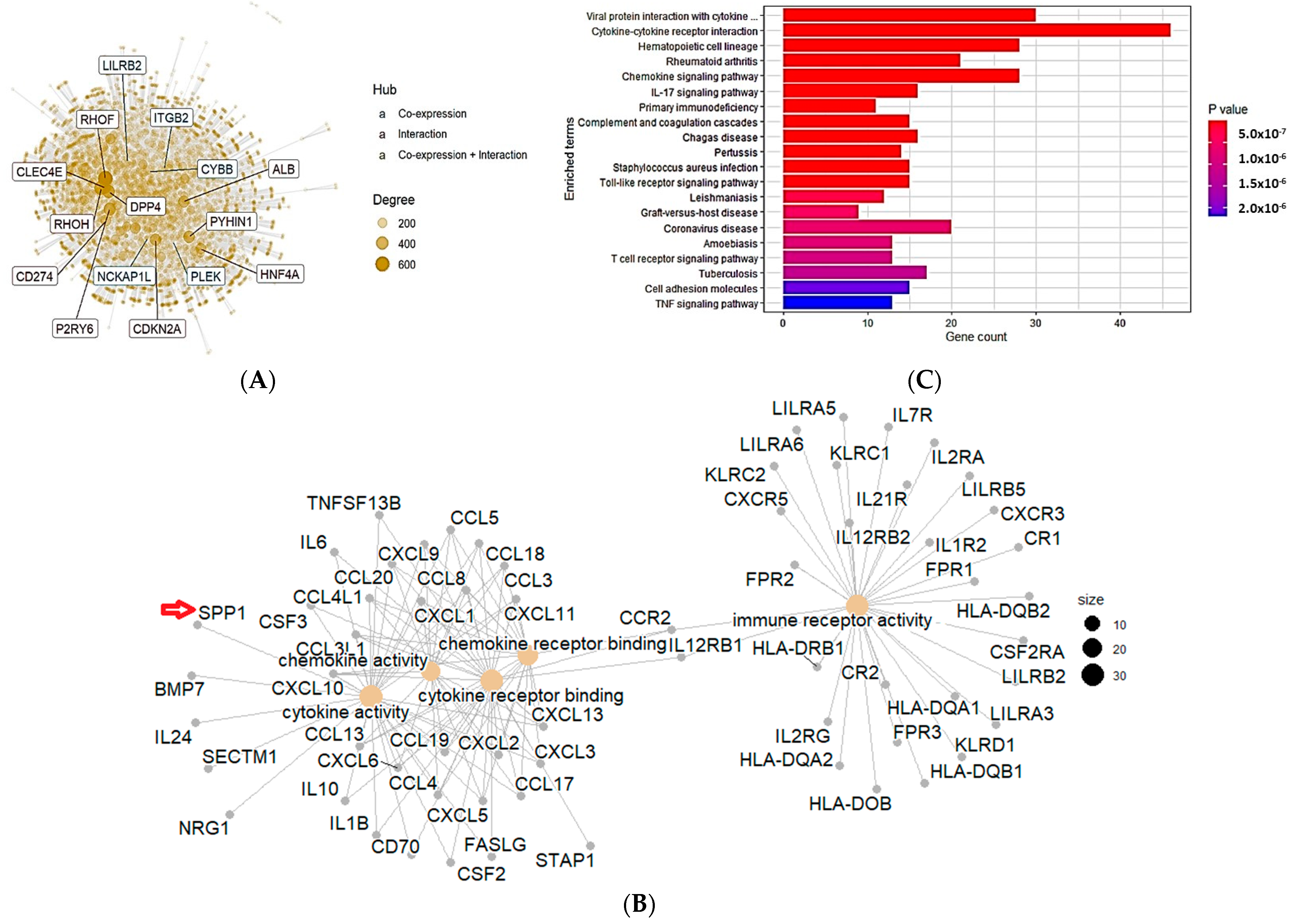 Cancers 15 05704 g006