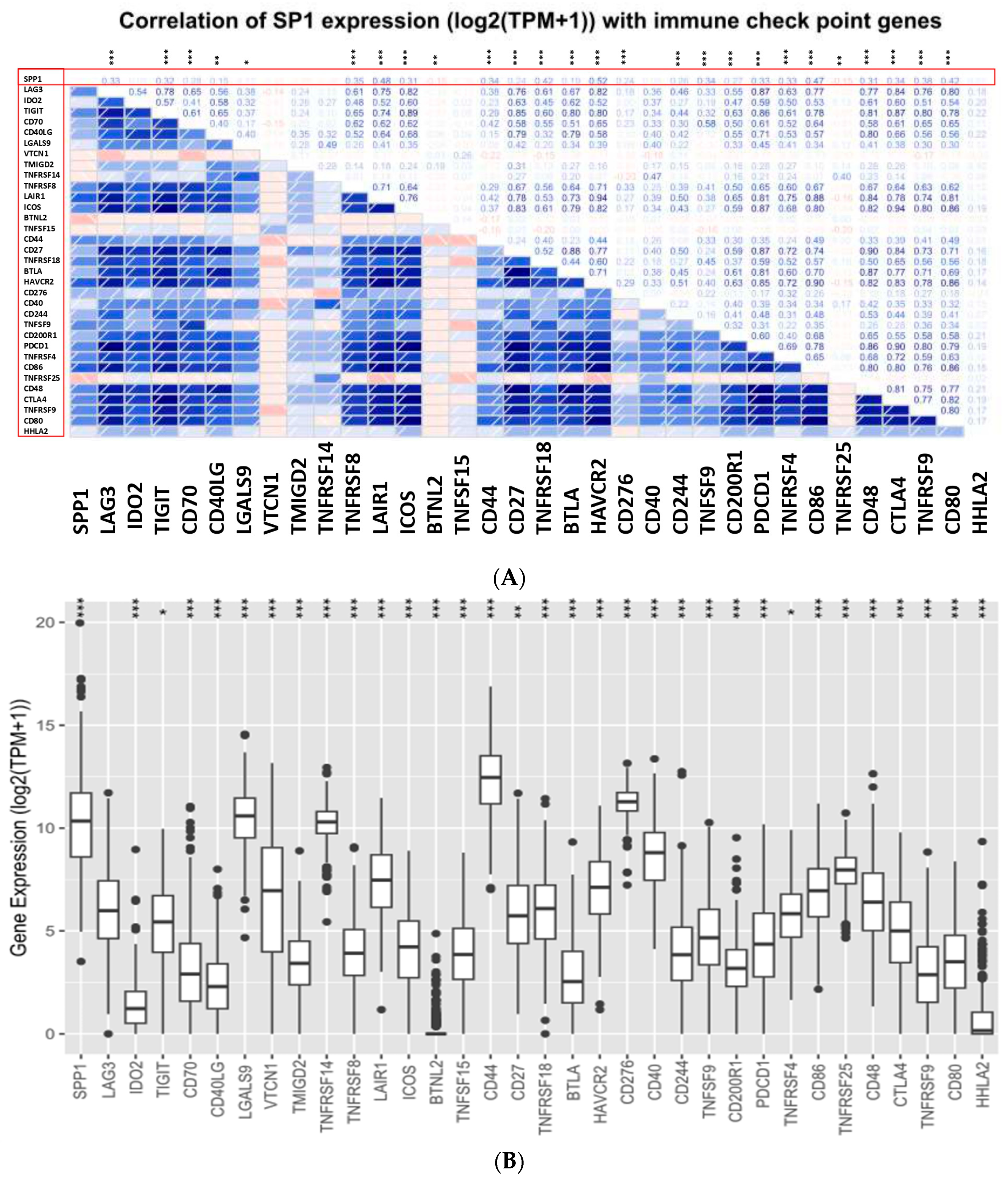 Cancers 15 05704 g008