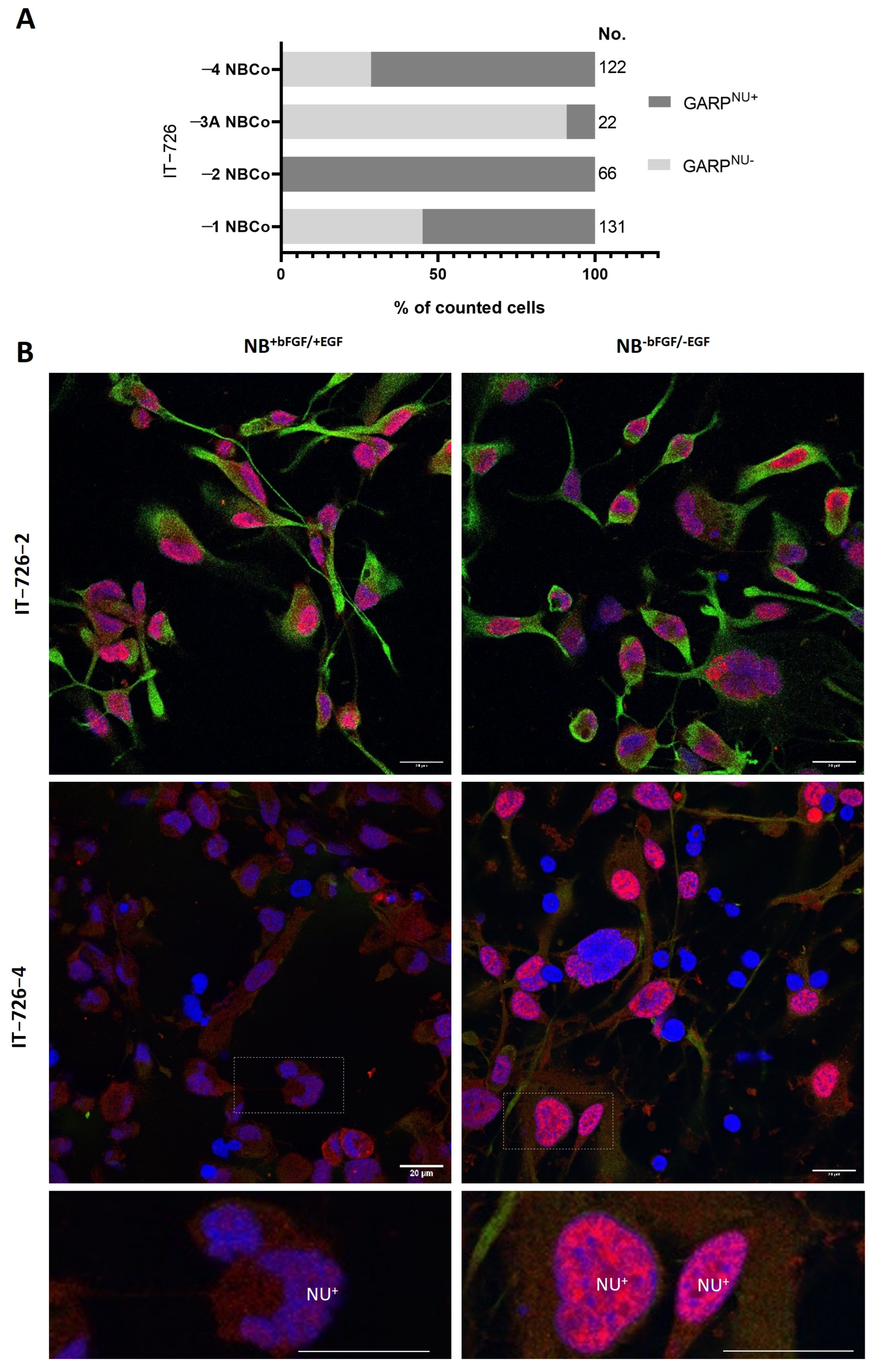 Cancers 15 05711 g003