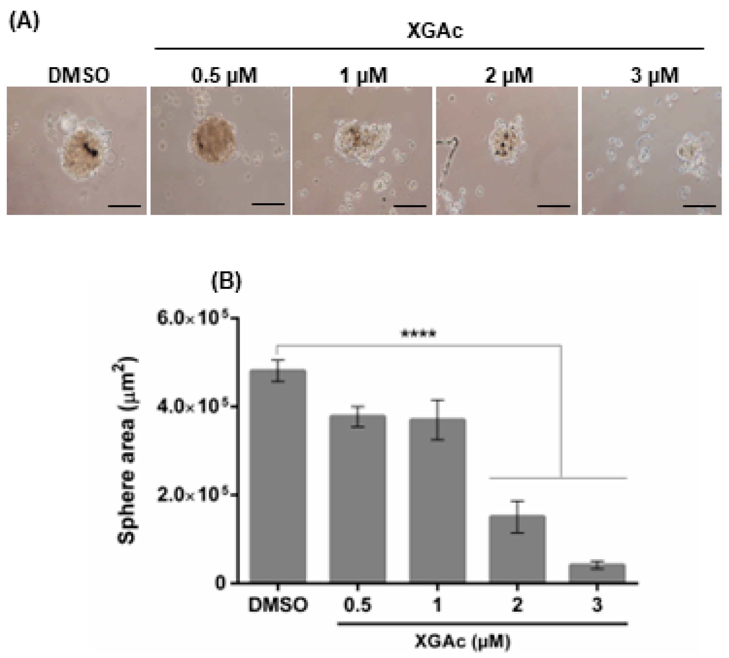 Cancers 15 05718 g003