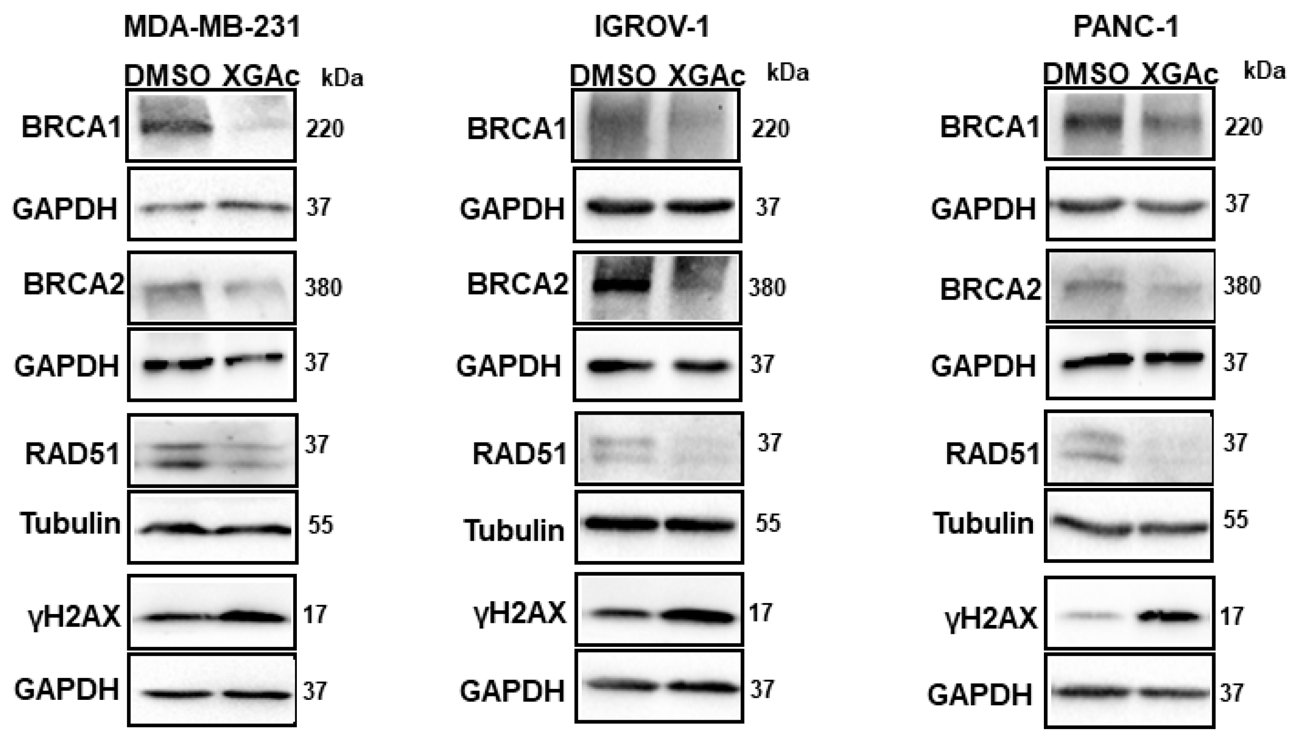 Cancers 15 05718 g005