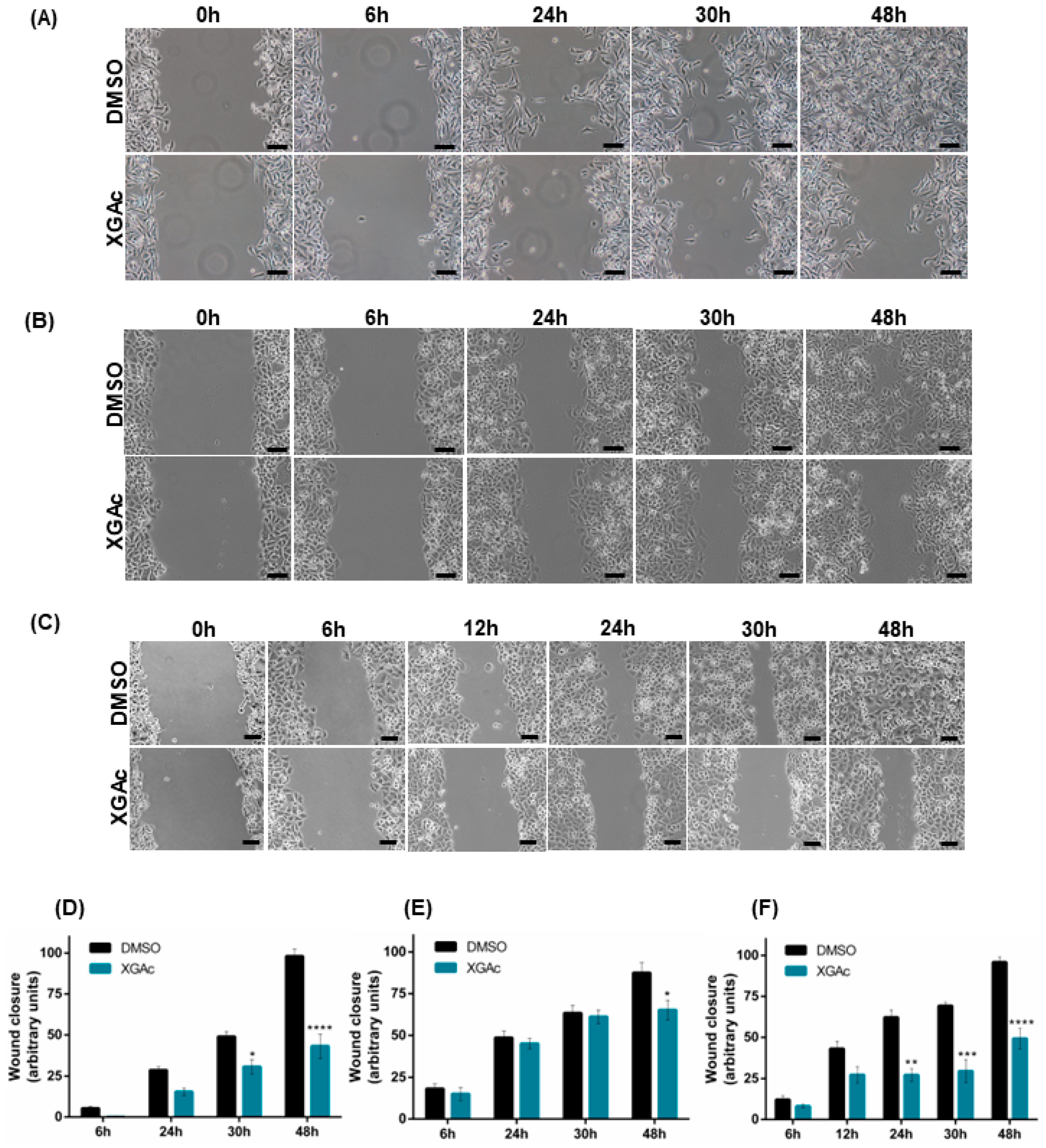 Cancers 15 05718 g006