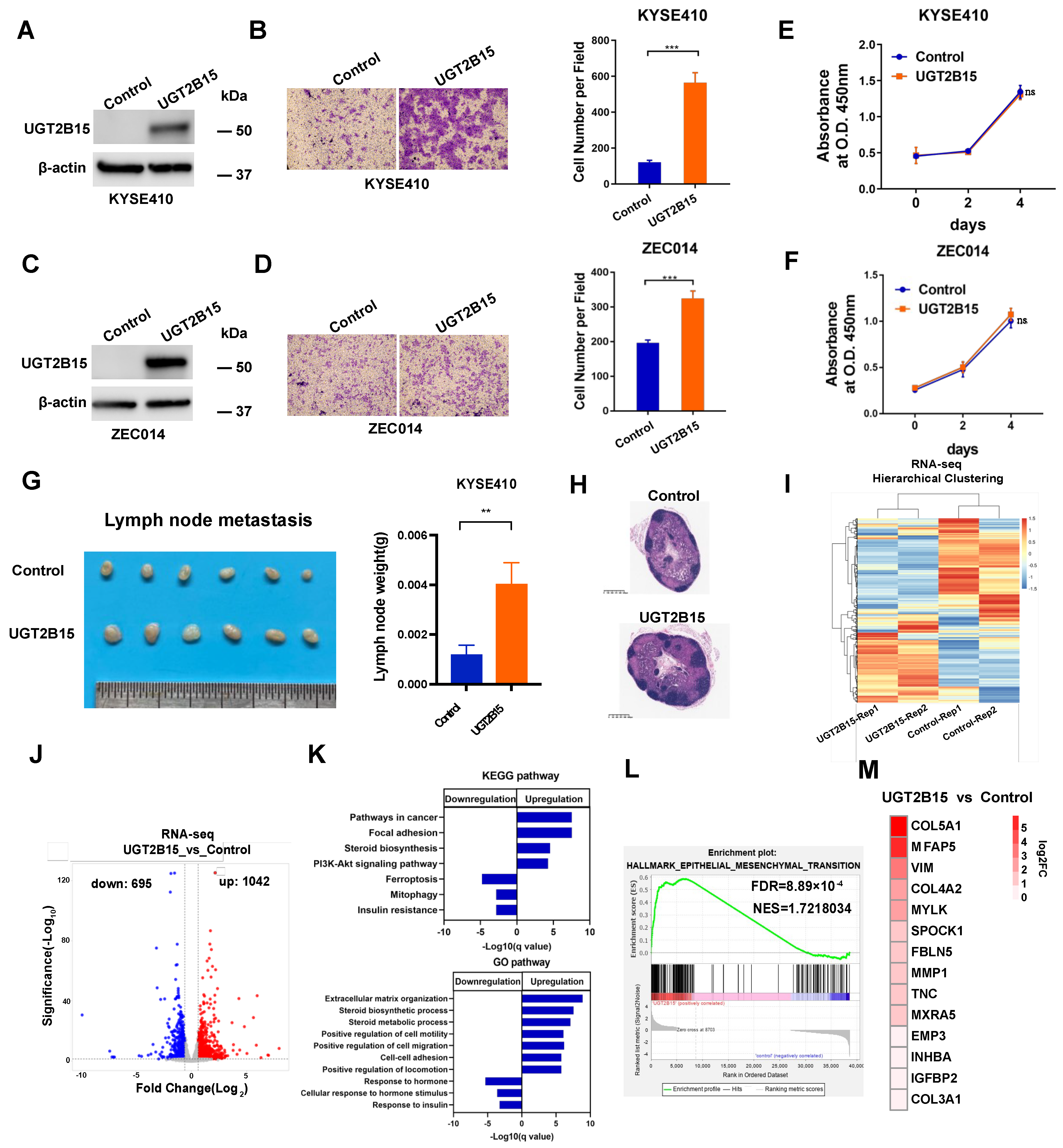 Cancers 15 05719 g003