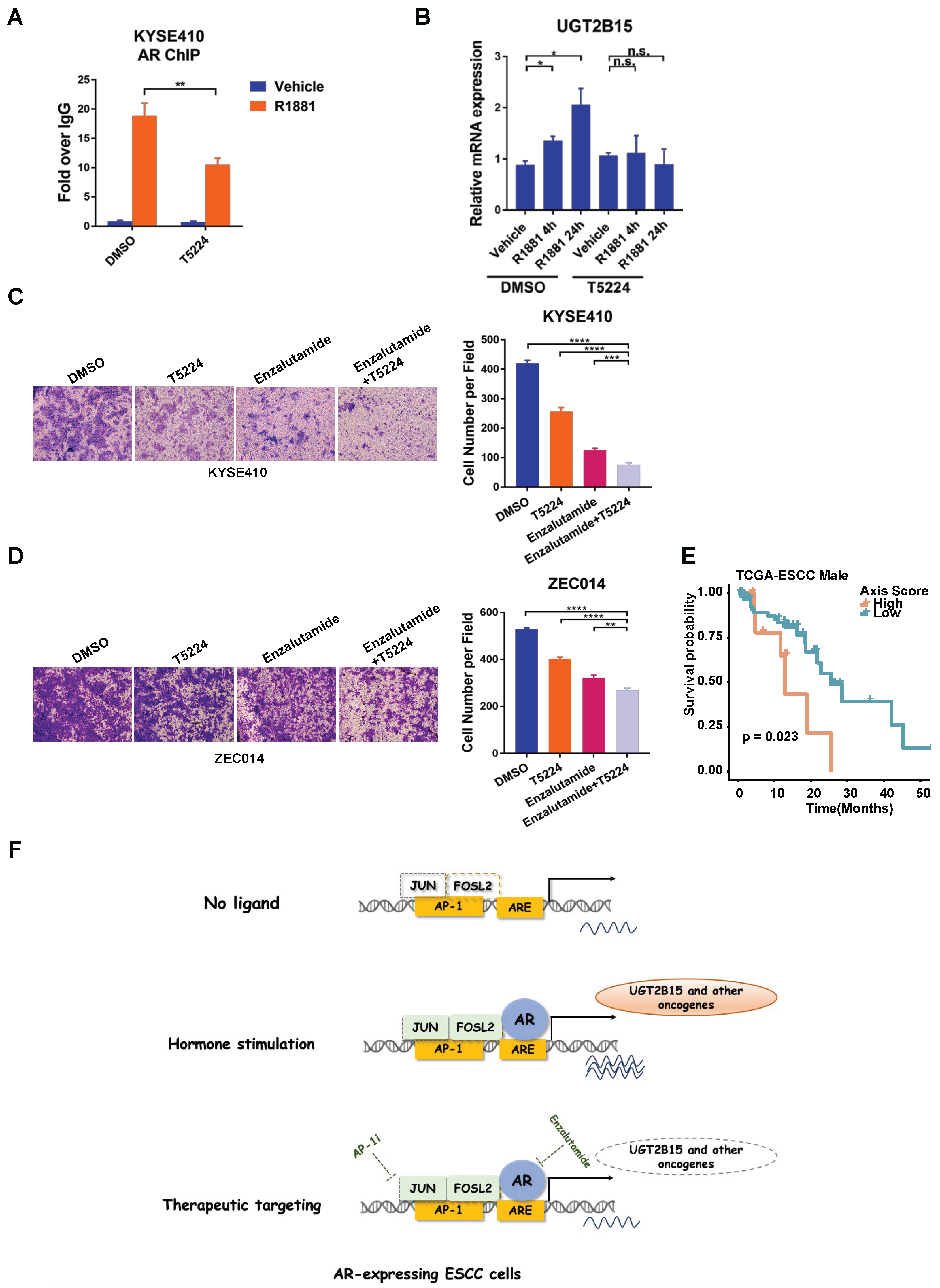 Cancers 15 05719 g005