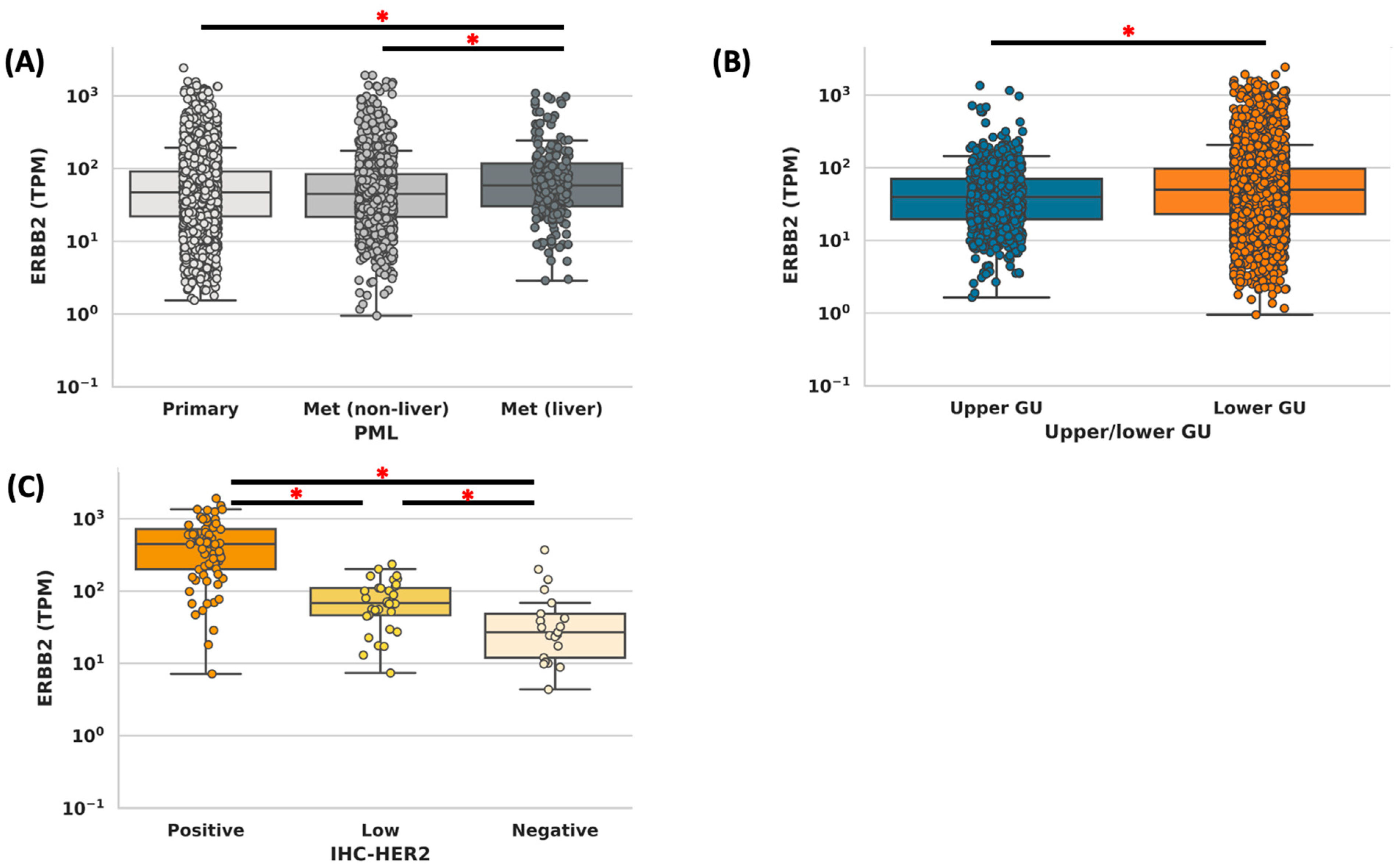 Cancers 15 05721 g001