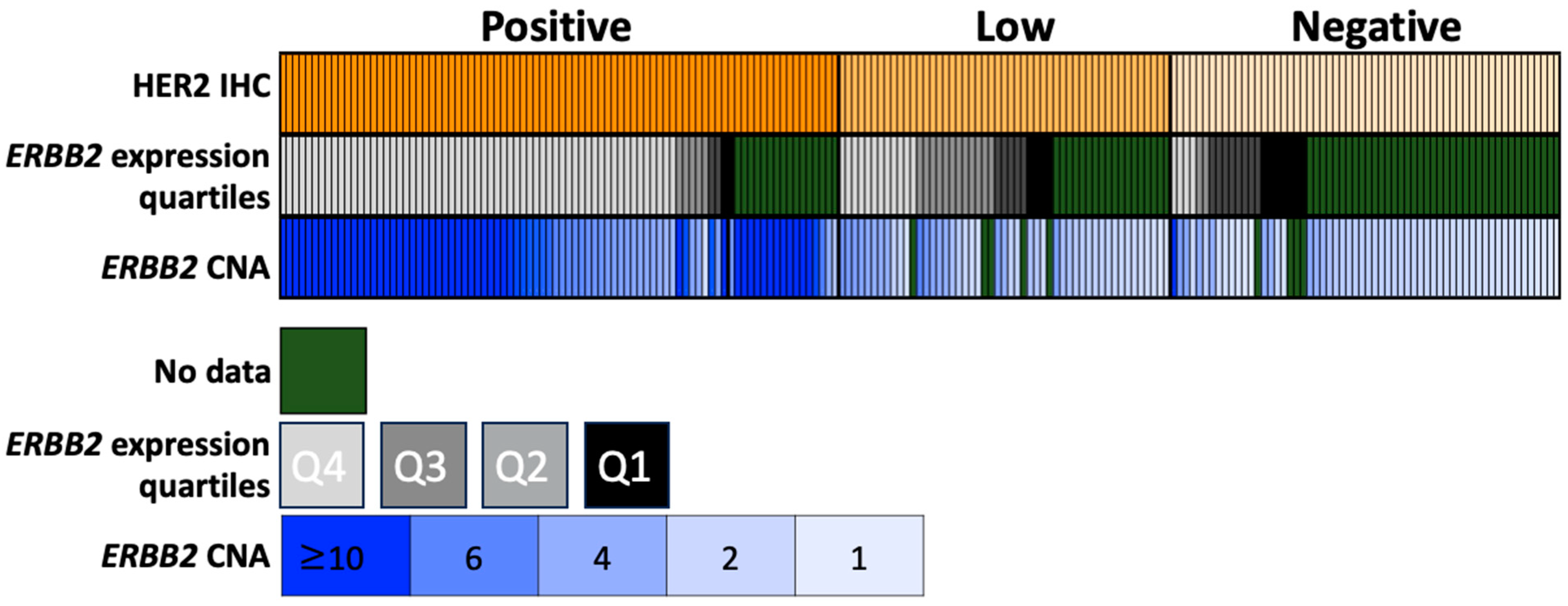 Cancers 15 05721 g002