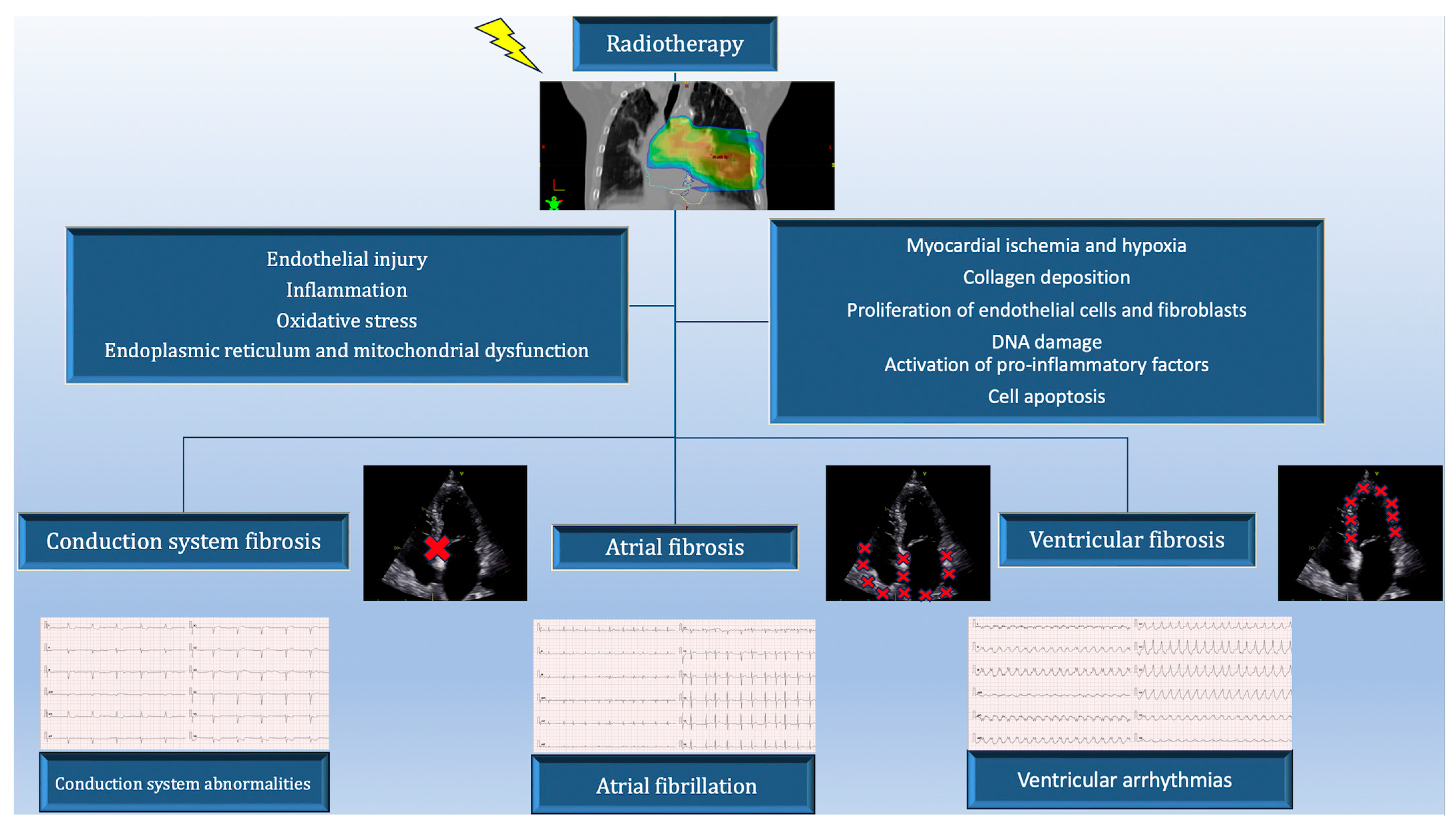 Cancers 15 05723 g001 Cancers 15 05723 g001