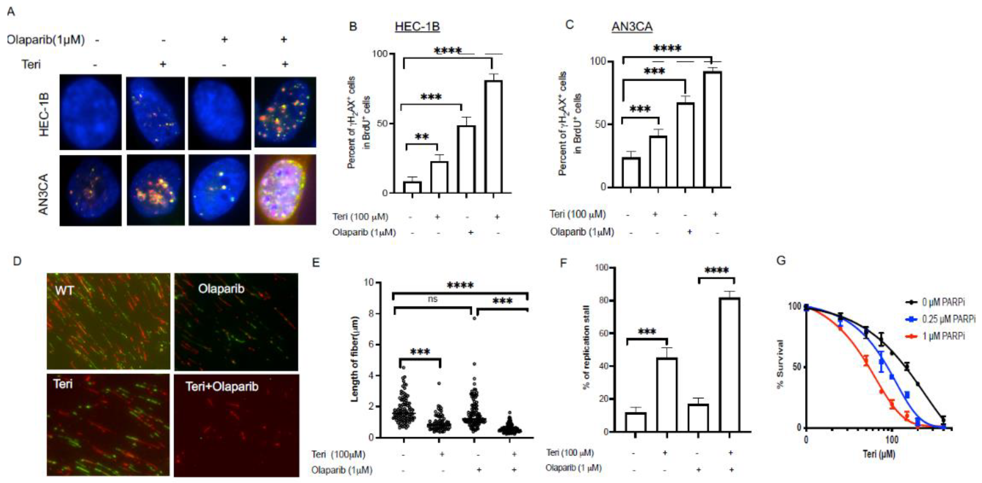 Cancers 15 05727 g003