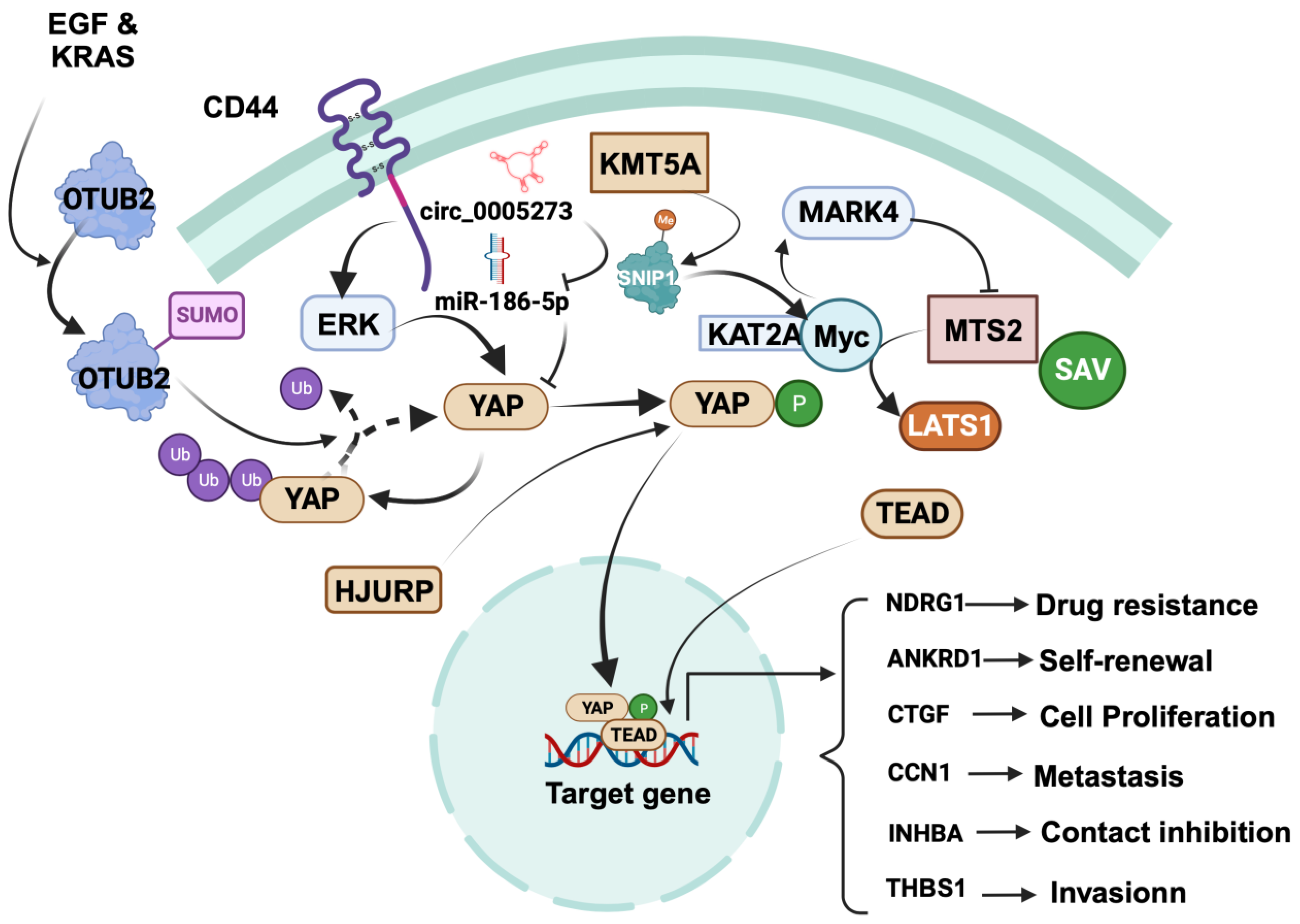 Cancers 15 05728 g002