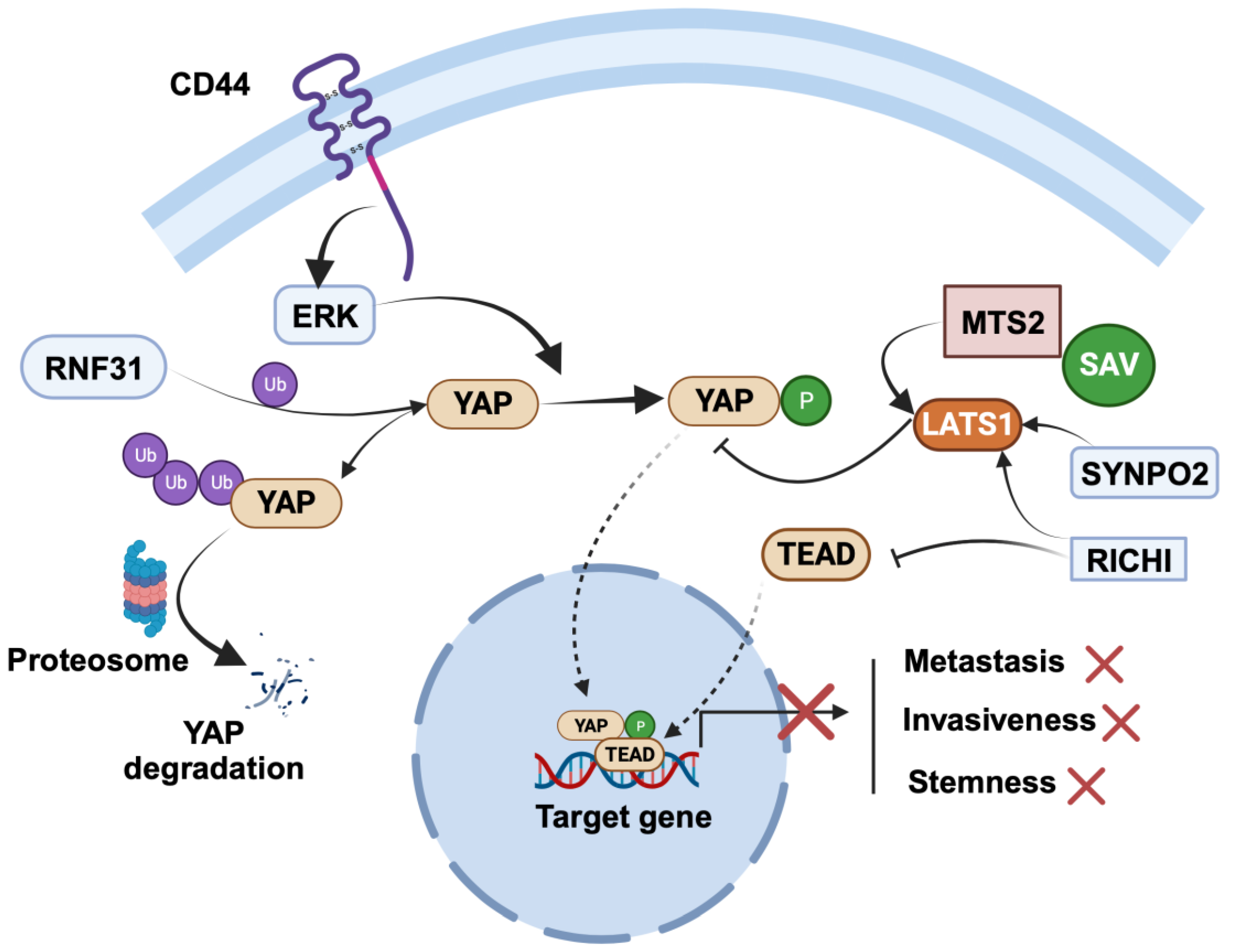 Cancers 15 05728 g003