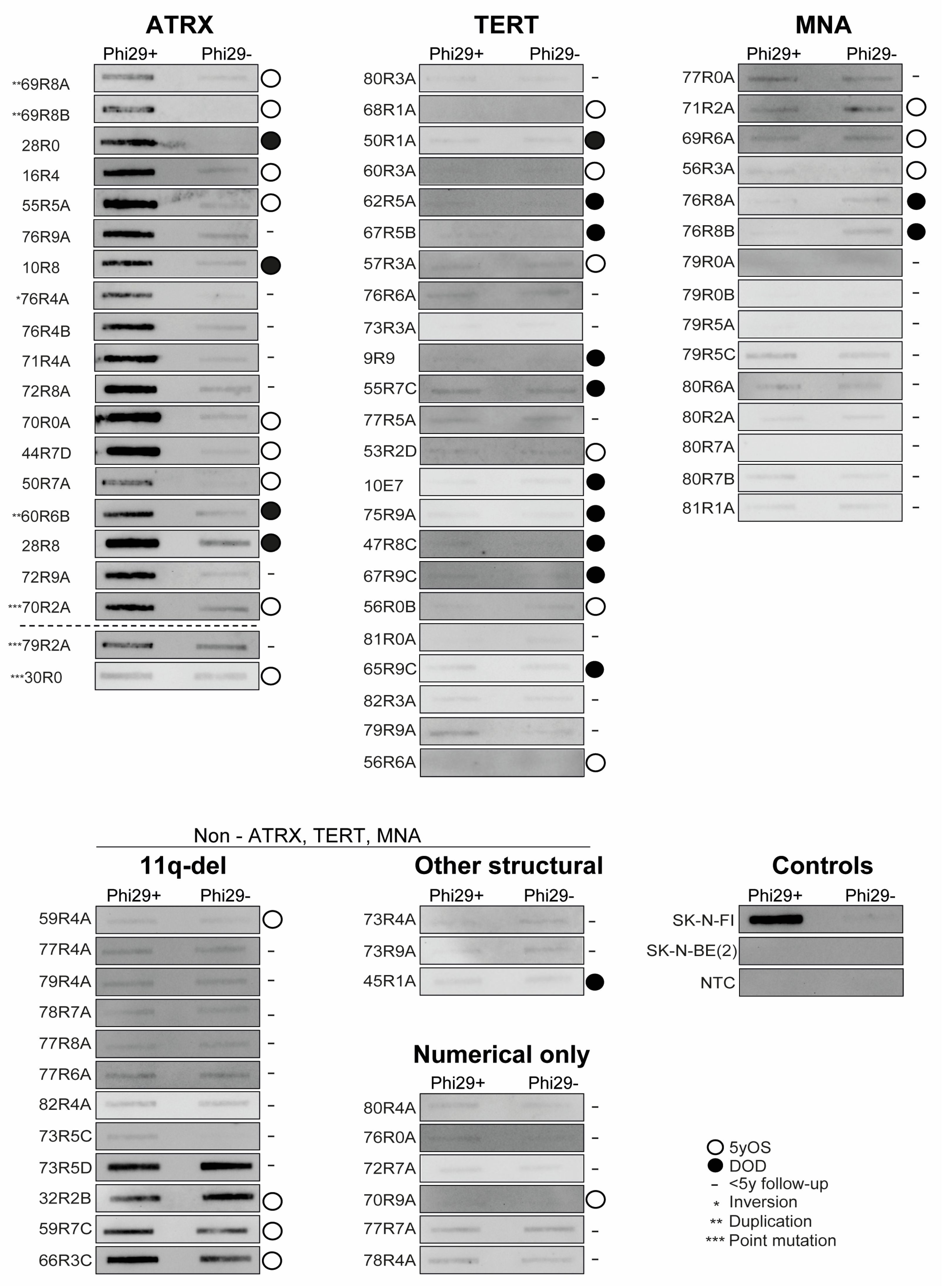 Cancers 15 05732 g003