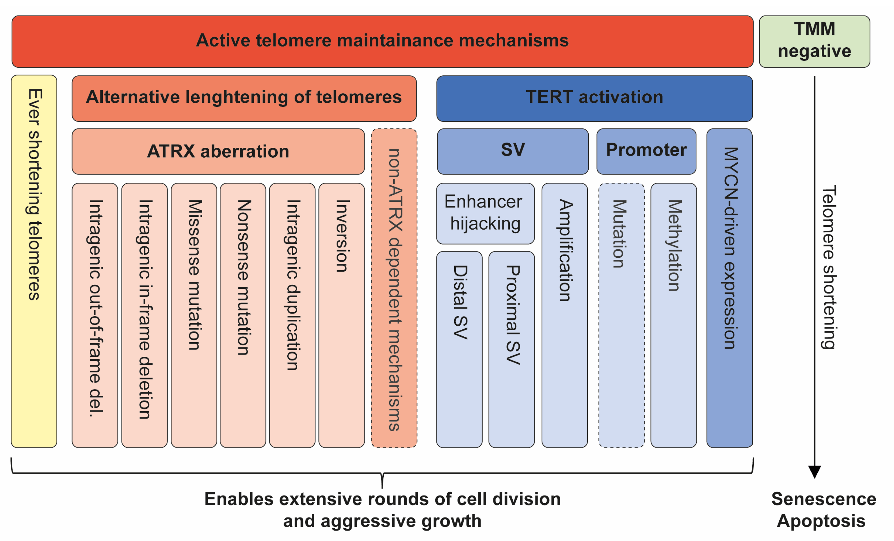 Cancers 15 05732 g006