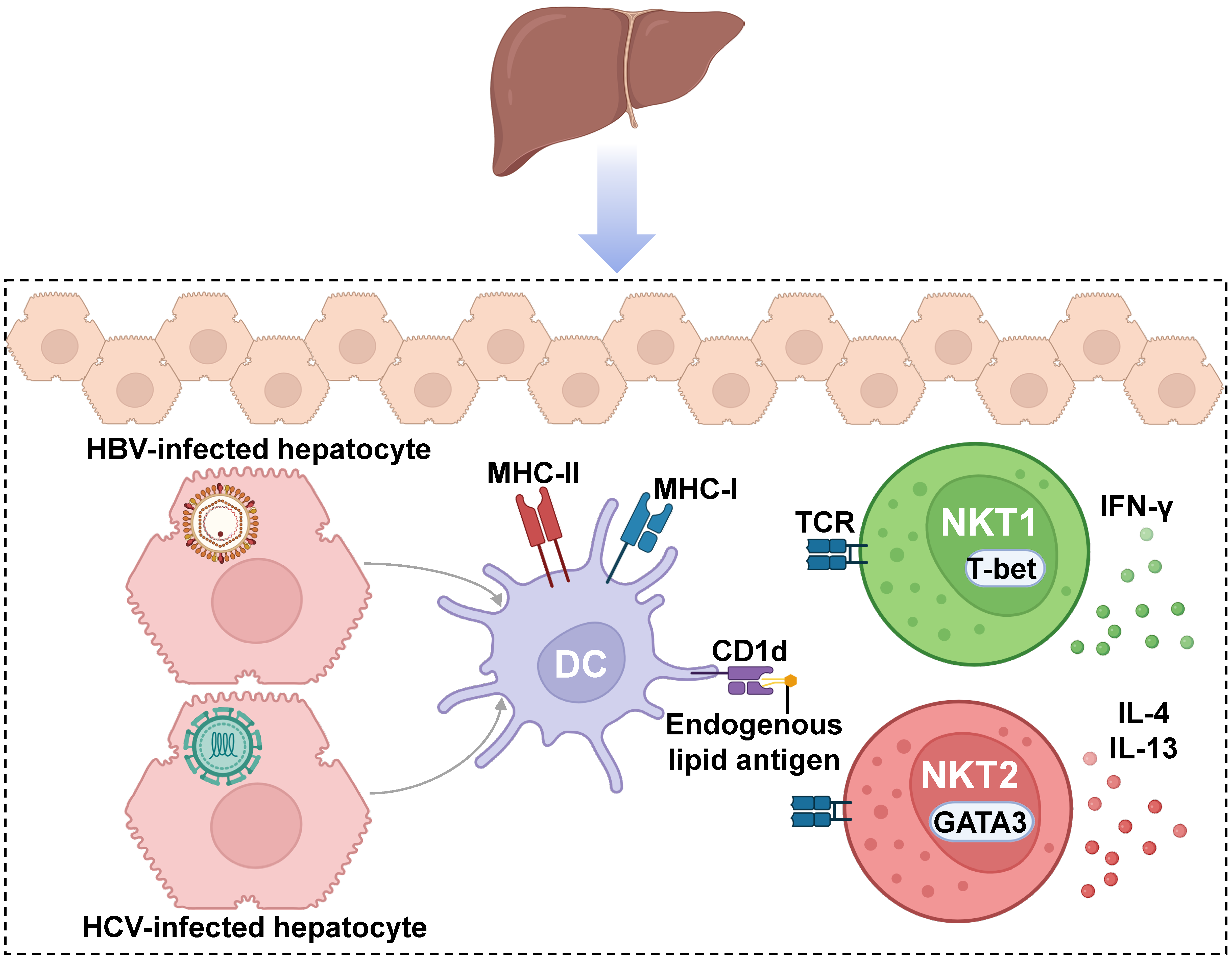 Cancers 15 05737 g003