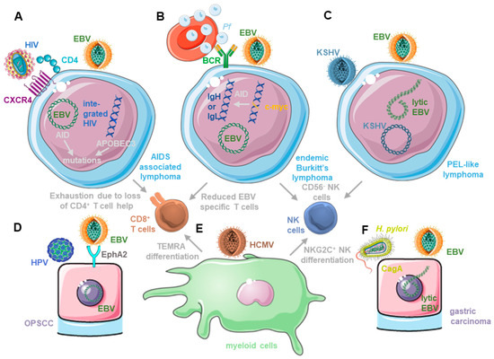 【ラビ】 Frontiers | Glioma: bridging the tumor microenvironment