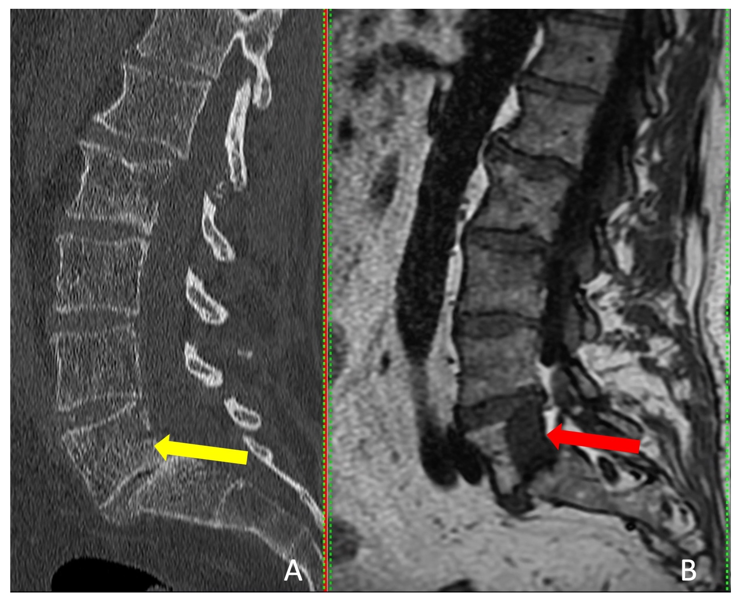 Cancers 15 05744 g004
