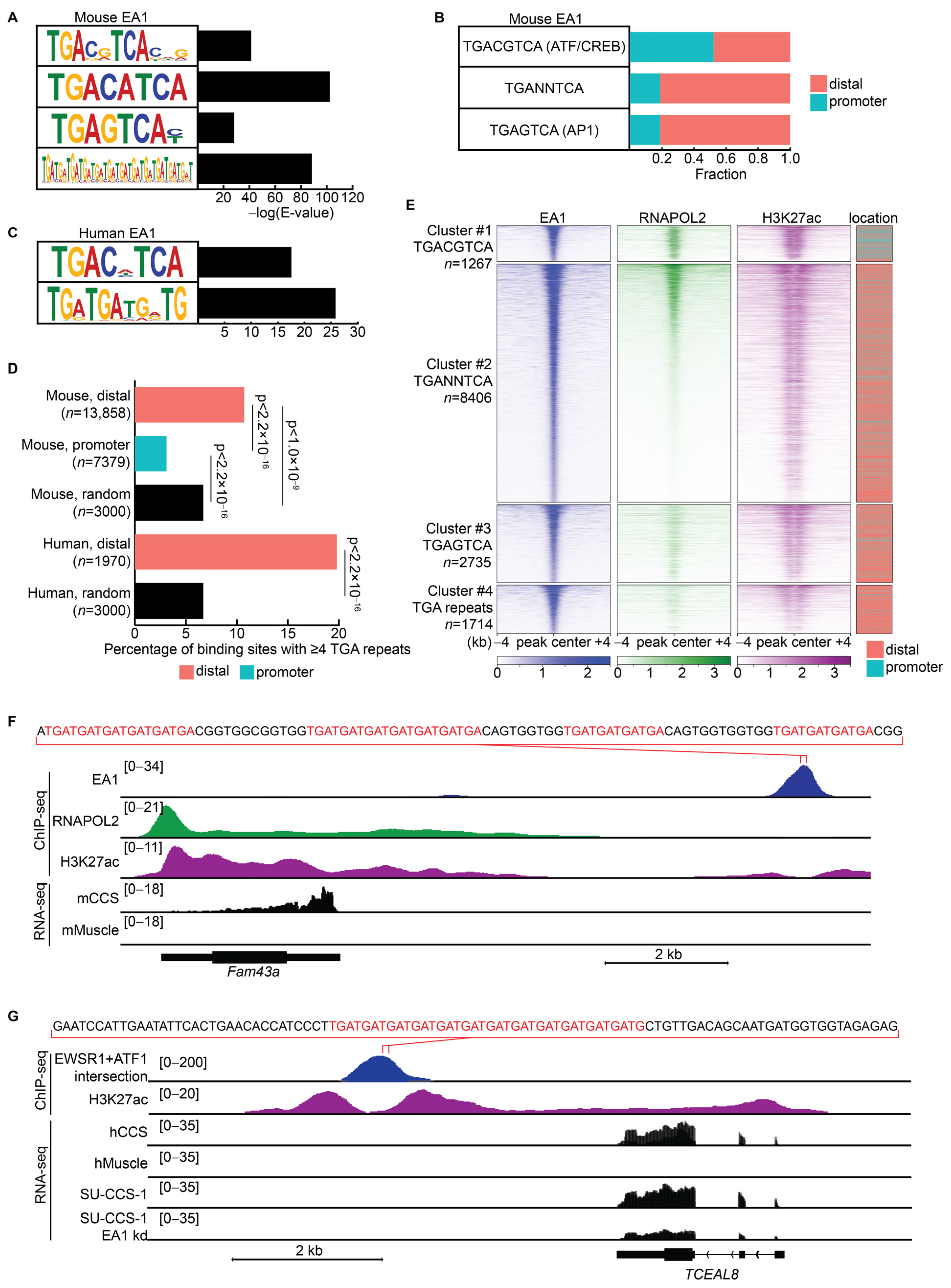 Cancers 15 05750 g004