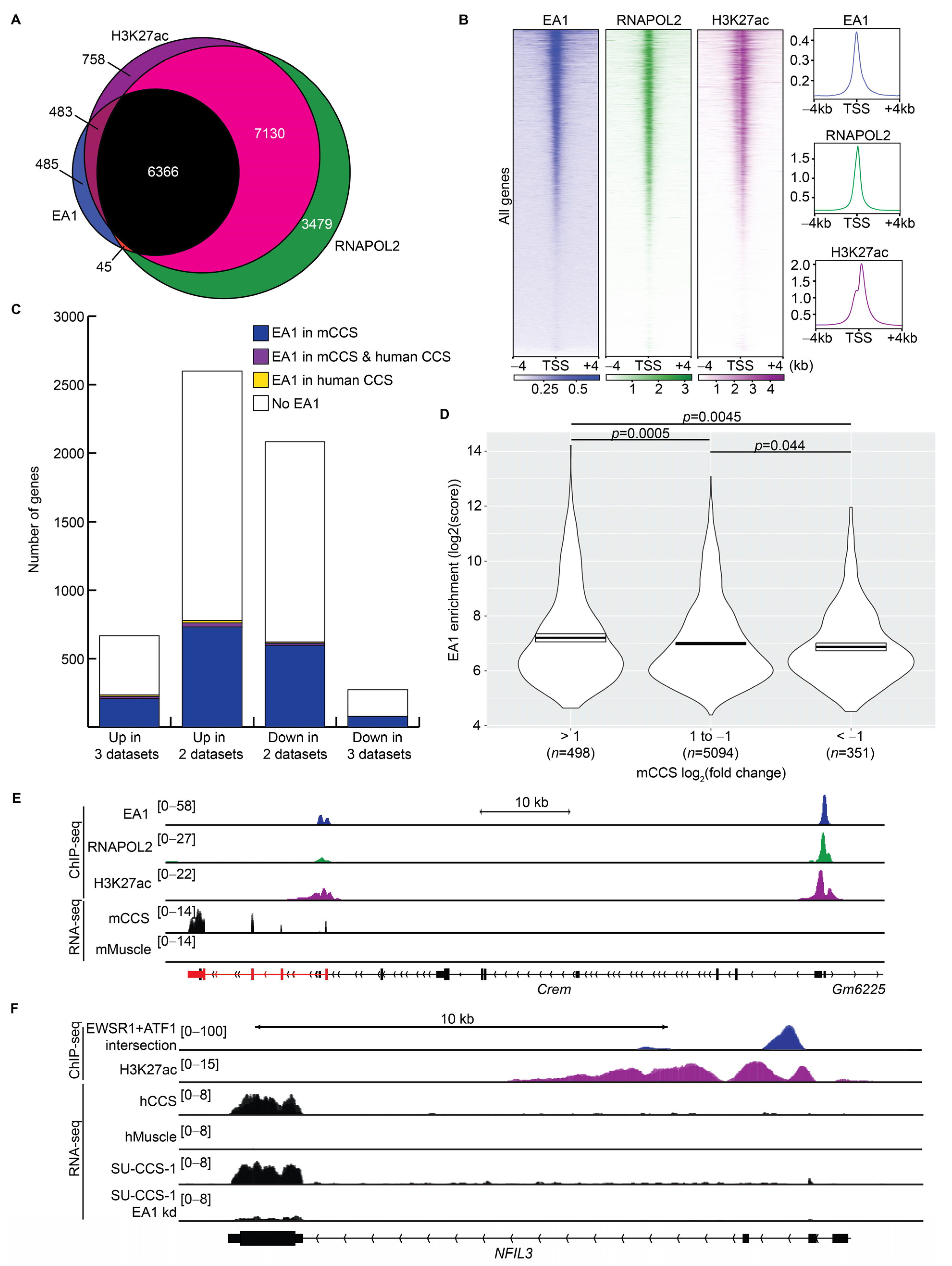 Cancers 15 05750 g005