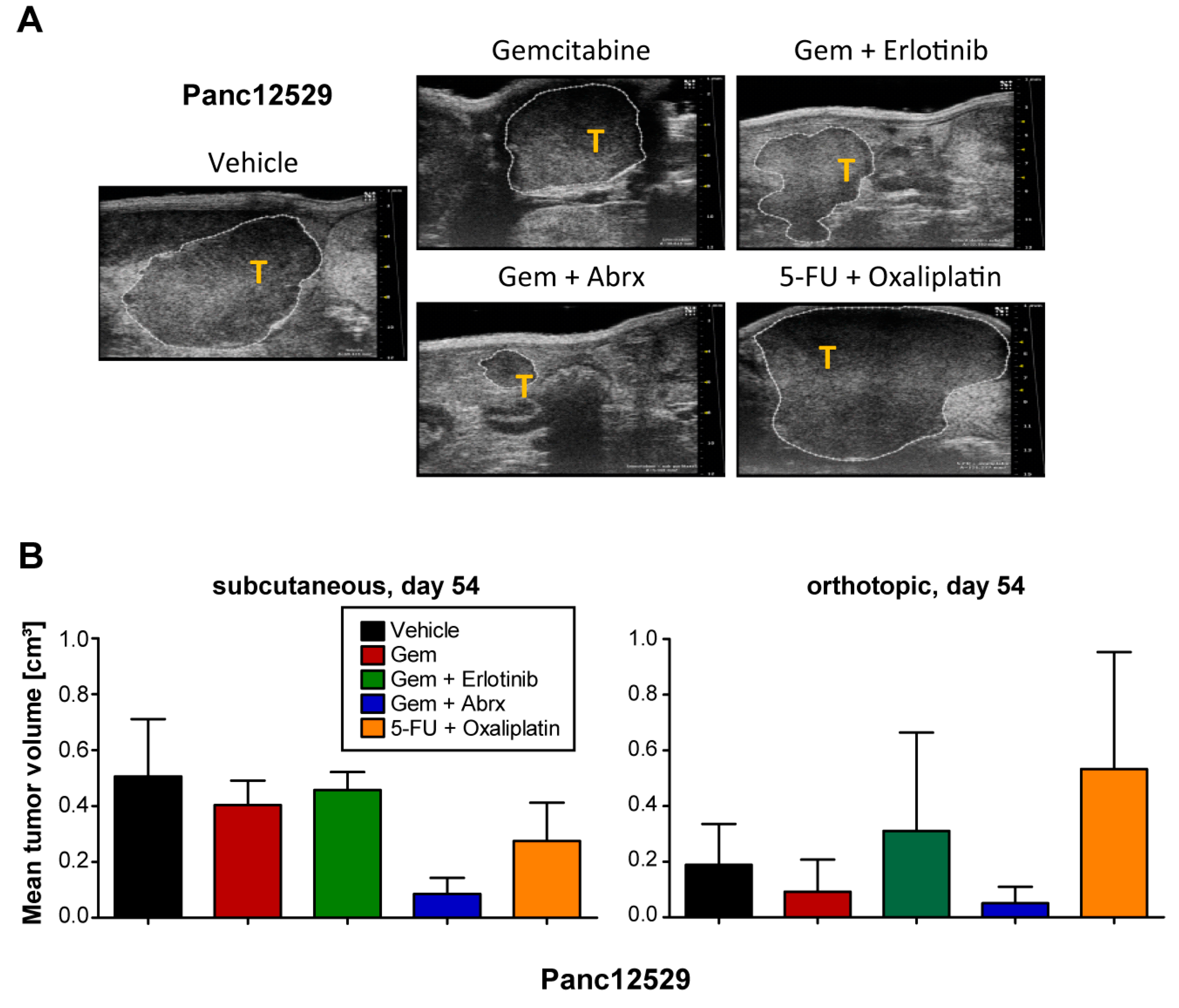 Cancers 15 05753 g003 Cancers 15 05753 g003