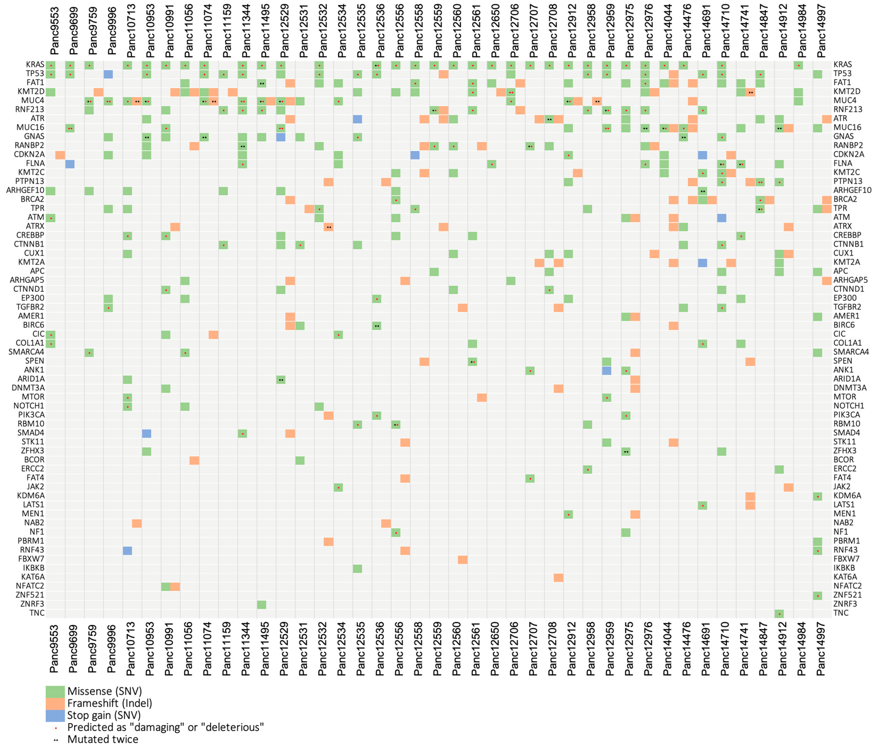 Cancers 15 05753 g005 Cancers 15 05753 g005