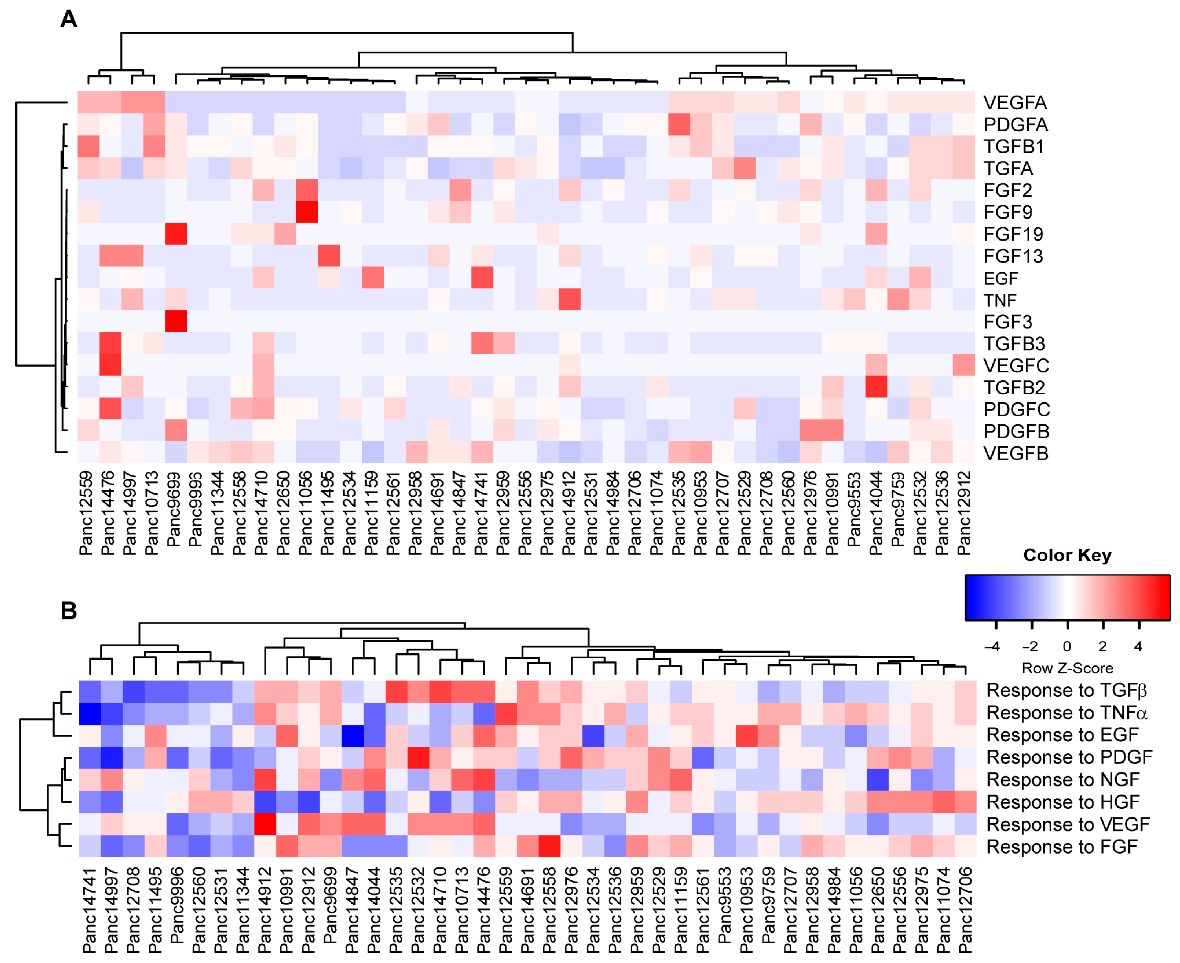 Cancers 15 05753 g006 Cancers 15 05753 g006