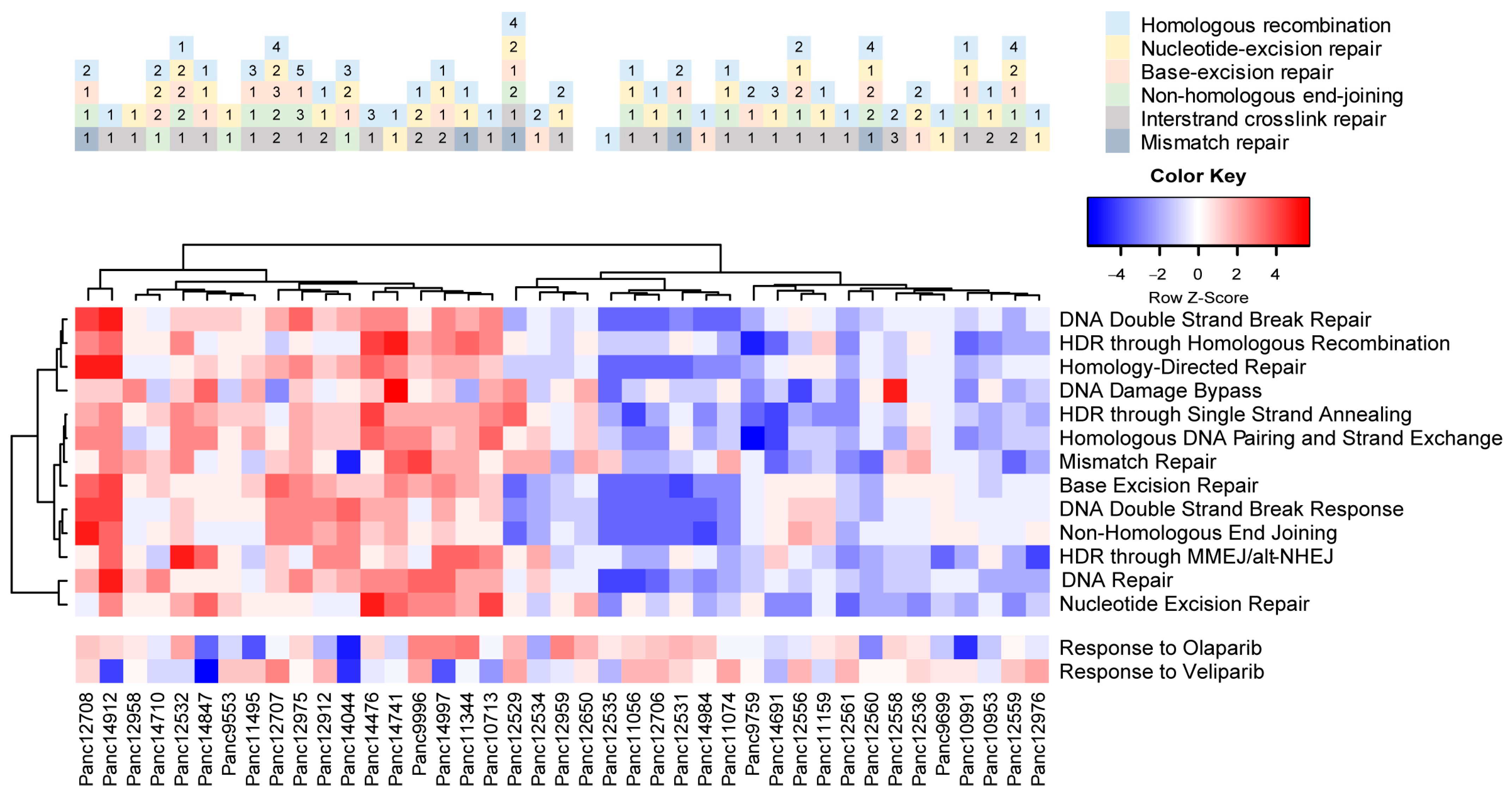 Cancers 15 05753 g007 Cancers 15 05753 g007