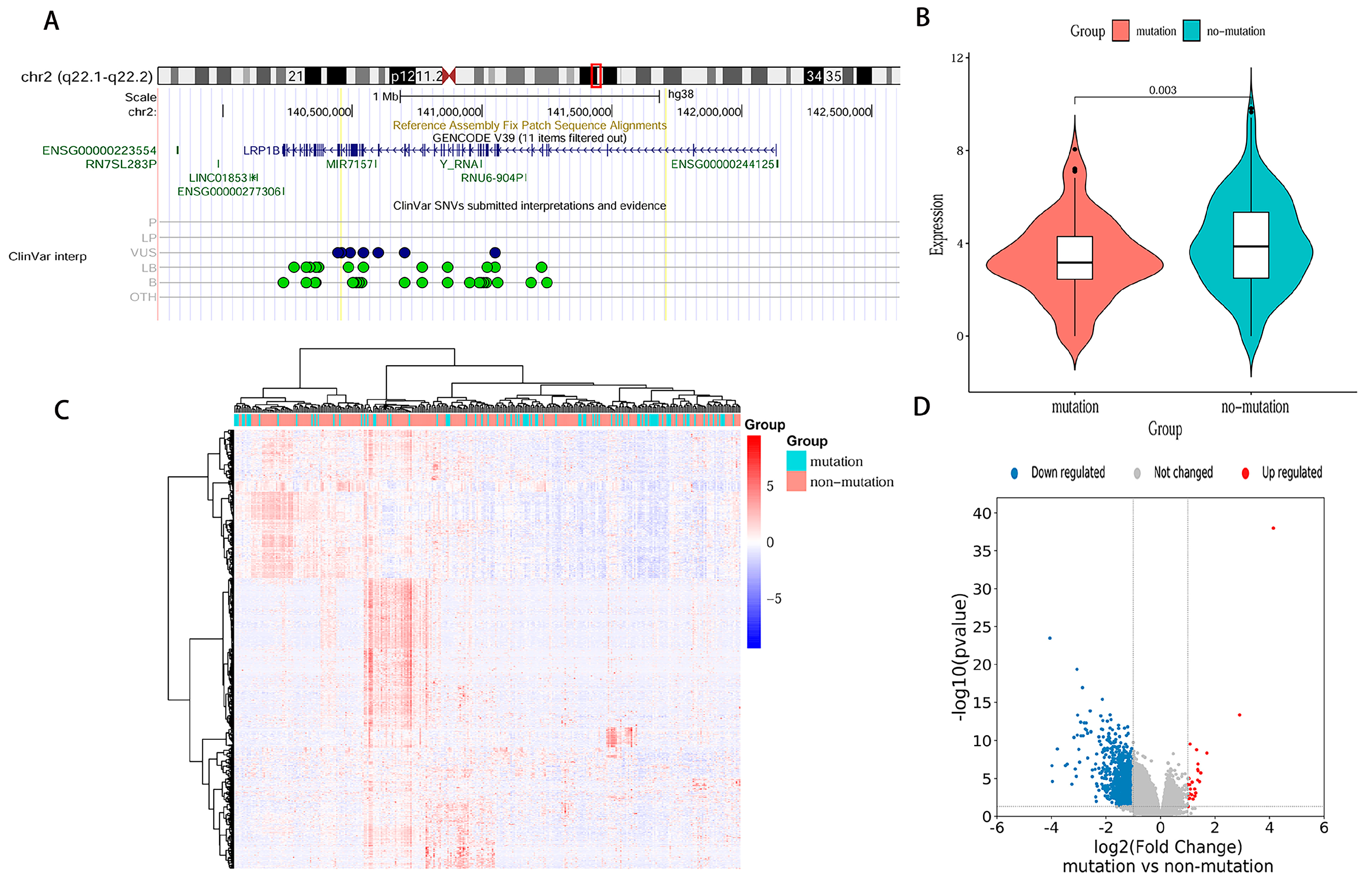 Cancers 15 05759 g002