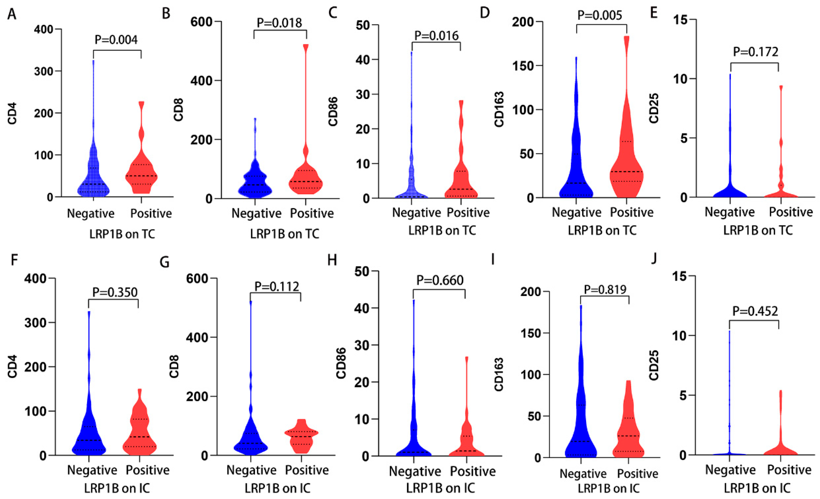 Cancers 15 05759 g006