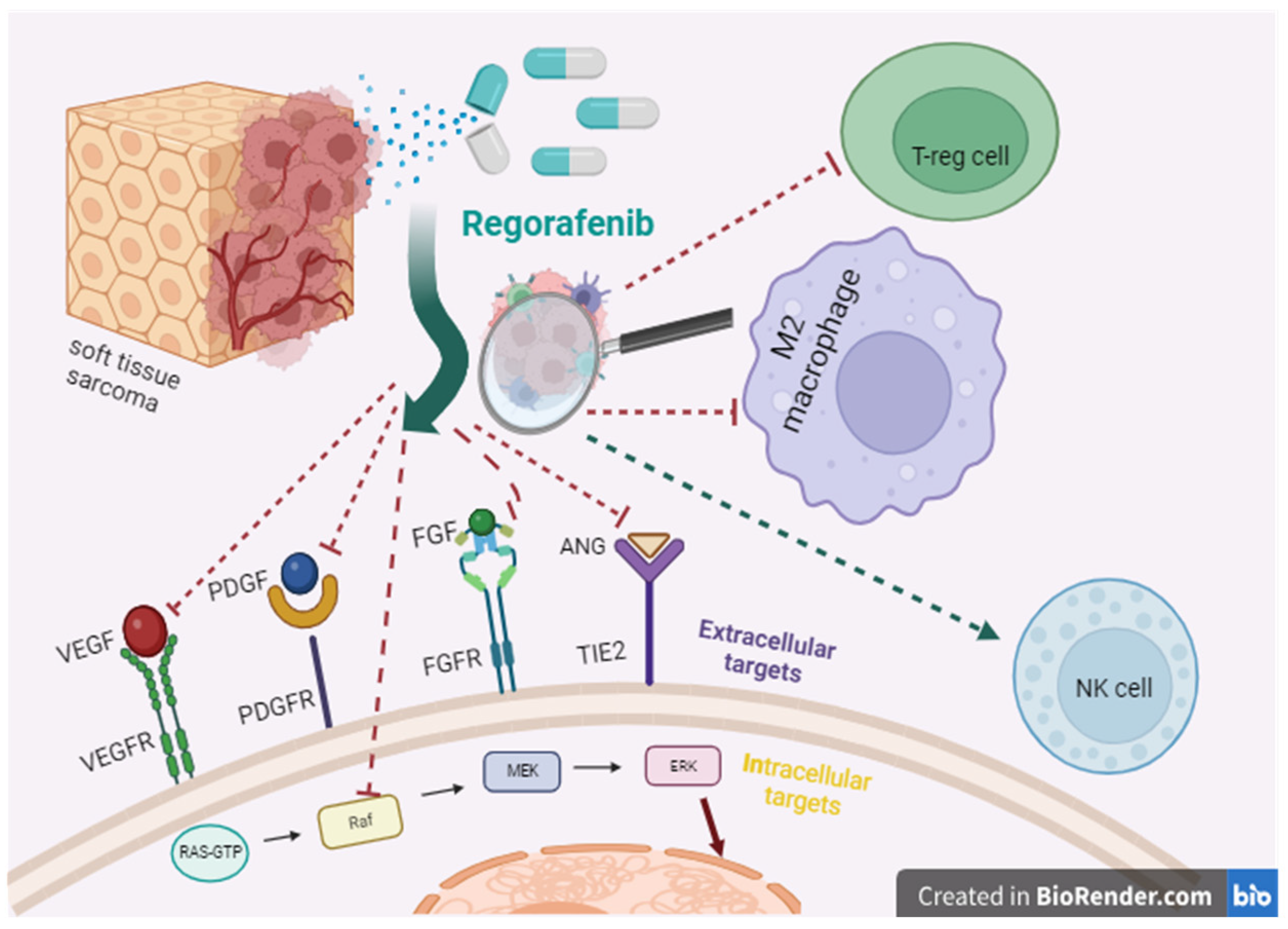Cancers 15 05760 g001 Cancers 15 05760 g001