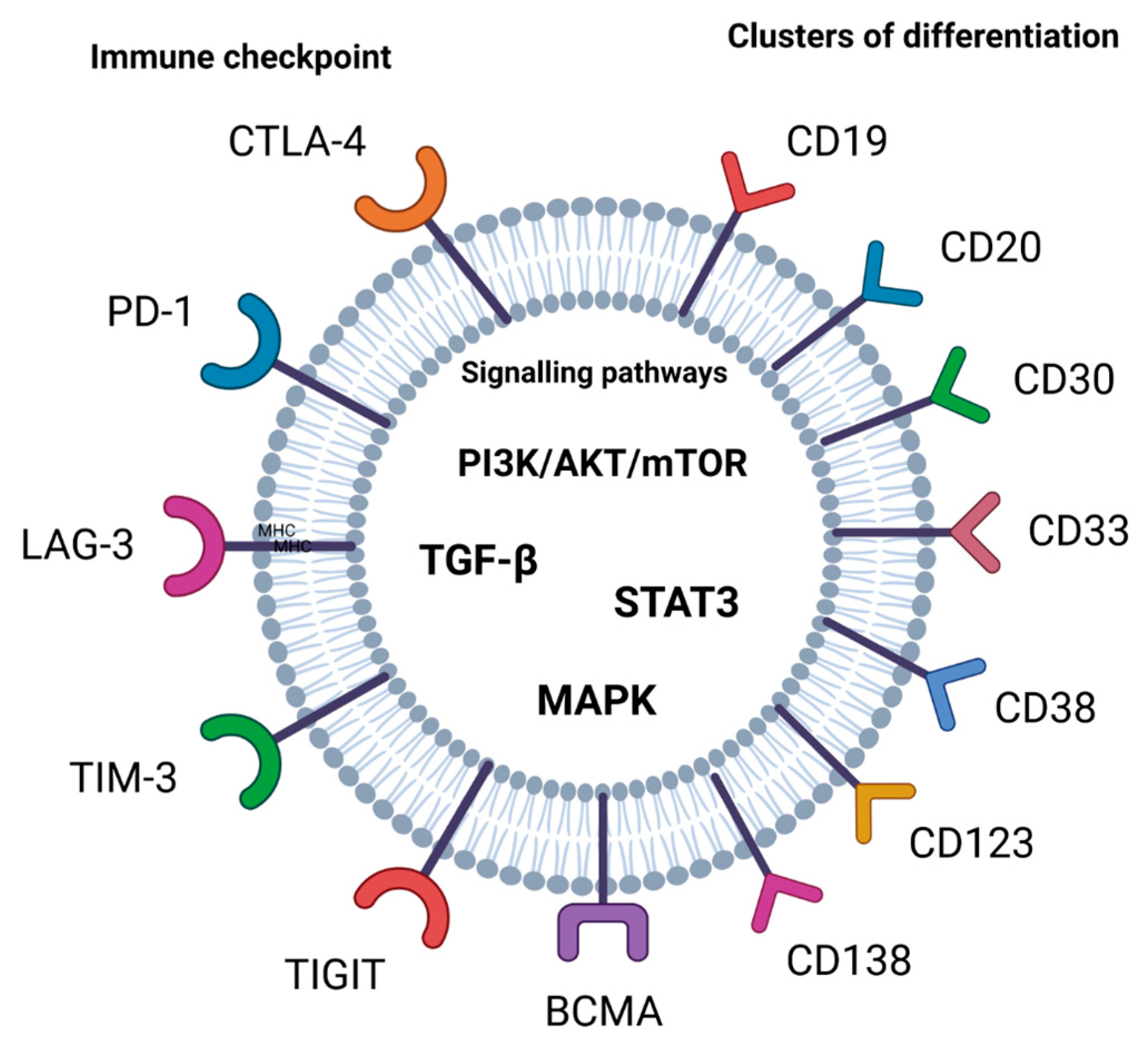 Cancers 15 05765 g001