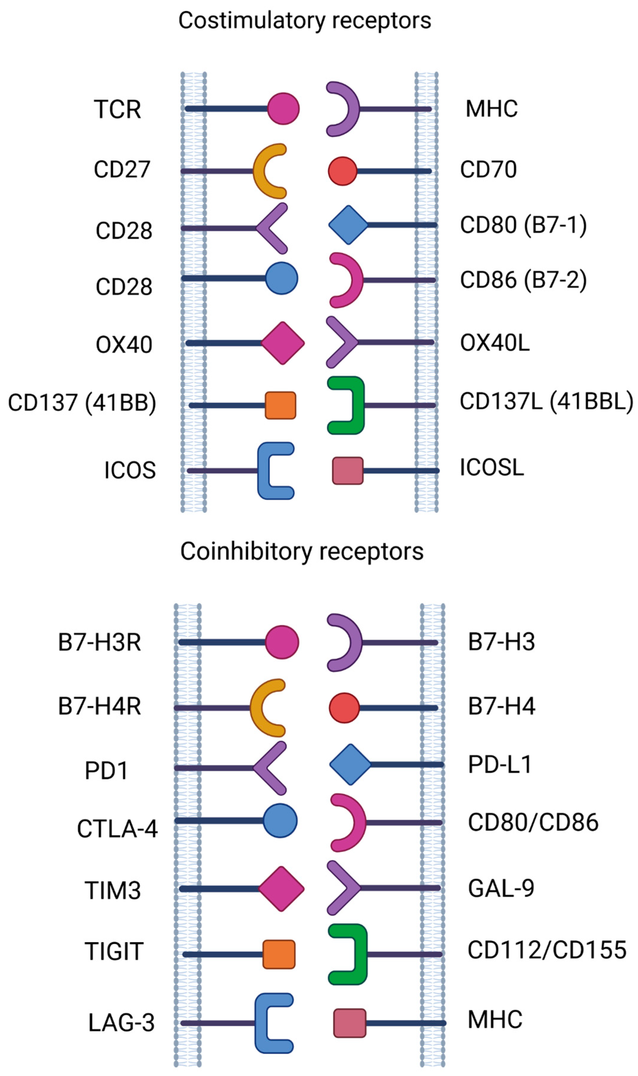 Cancers 15 05765 g002