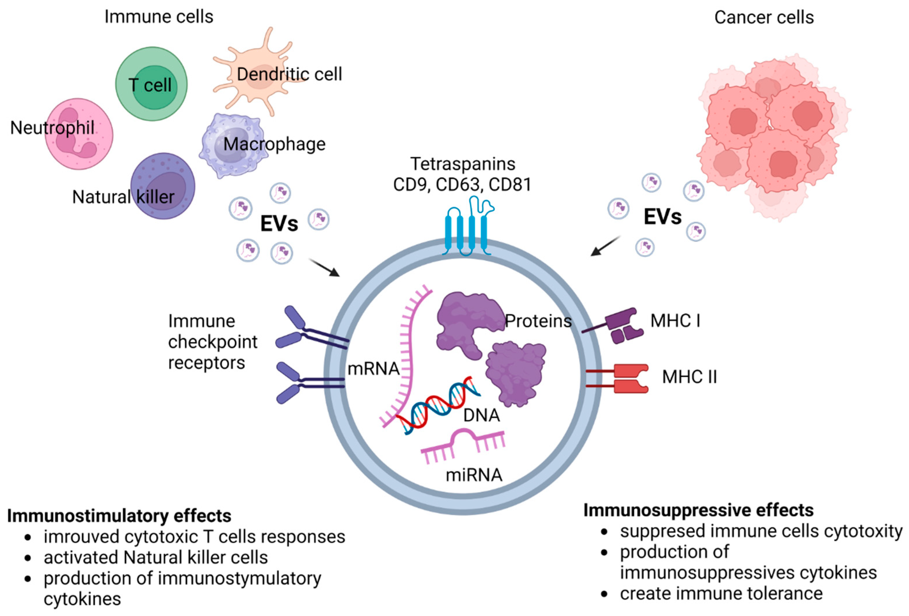 Cancers 15 05765 g004