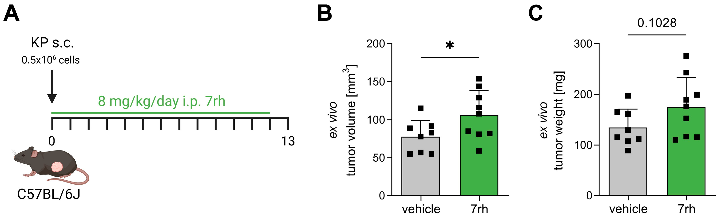 Cancers 15 05767 g001