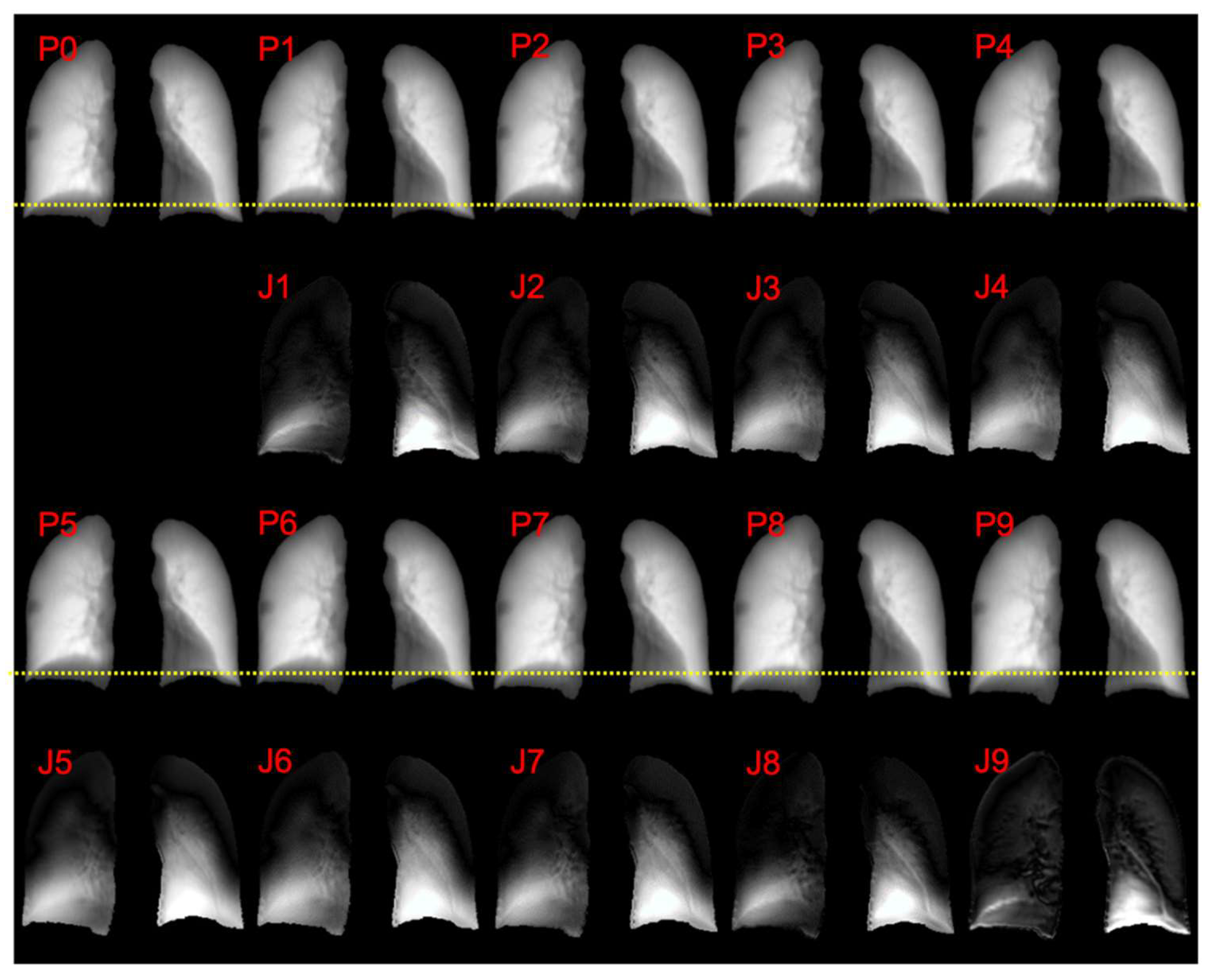 Cancers 15 05768 g003 Cancers 15 05768 g003