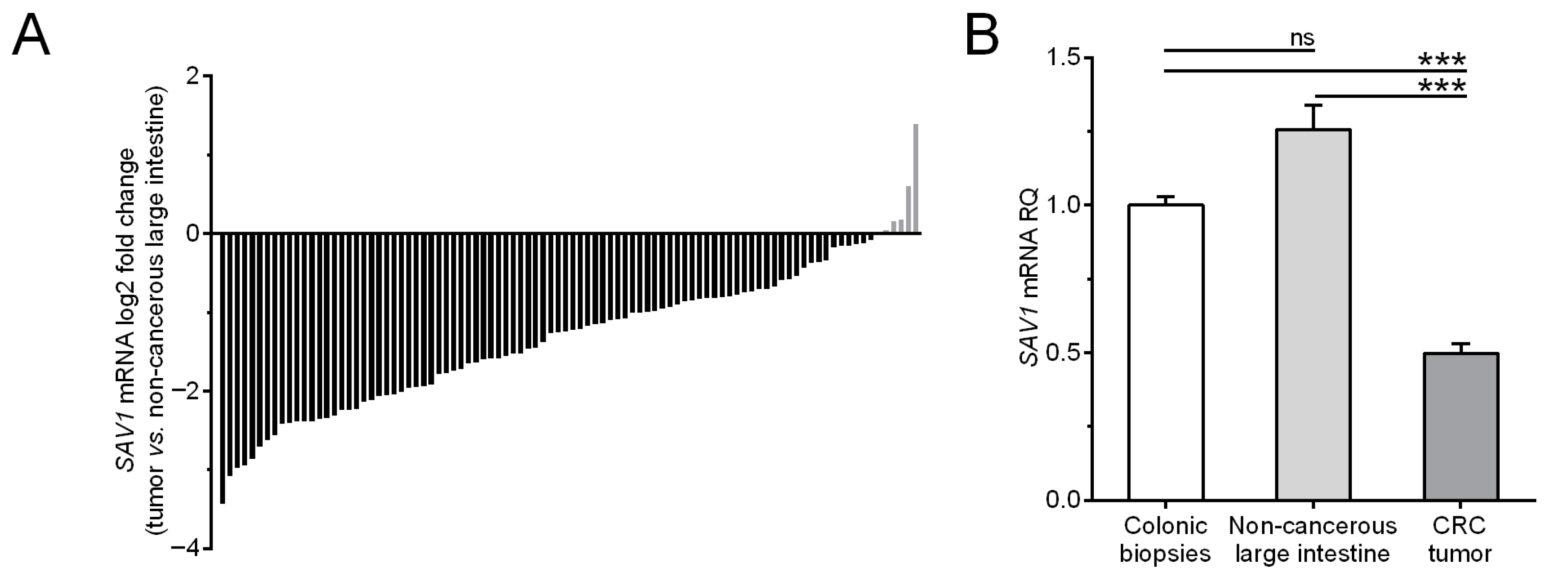 Cancers 15 05771 g001 Cancers 15 05771 g001