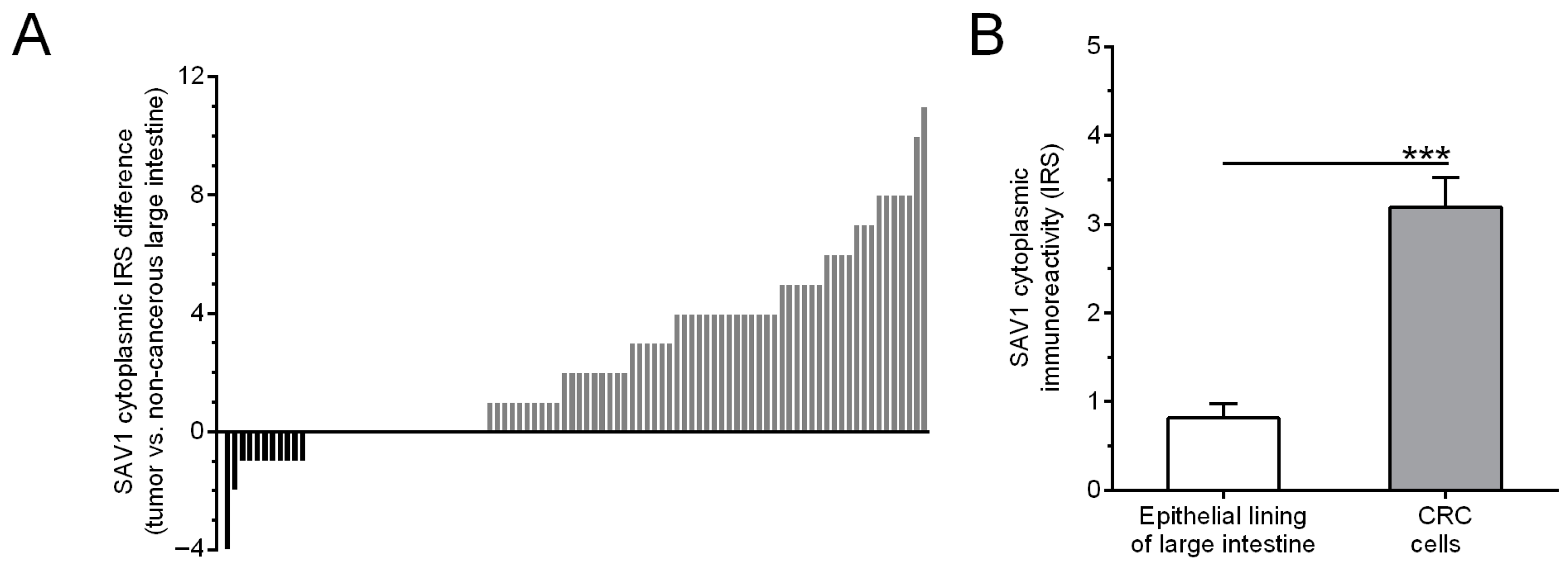Cancers 15 05771 g004 Cancers 15 05771 g004